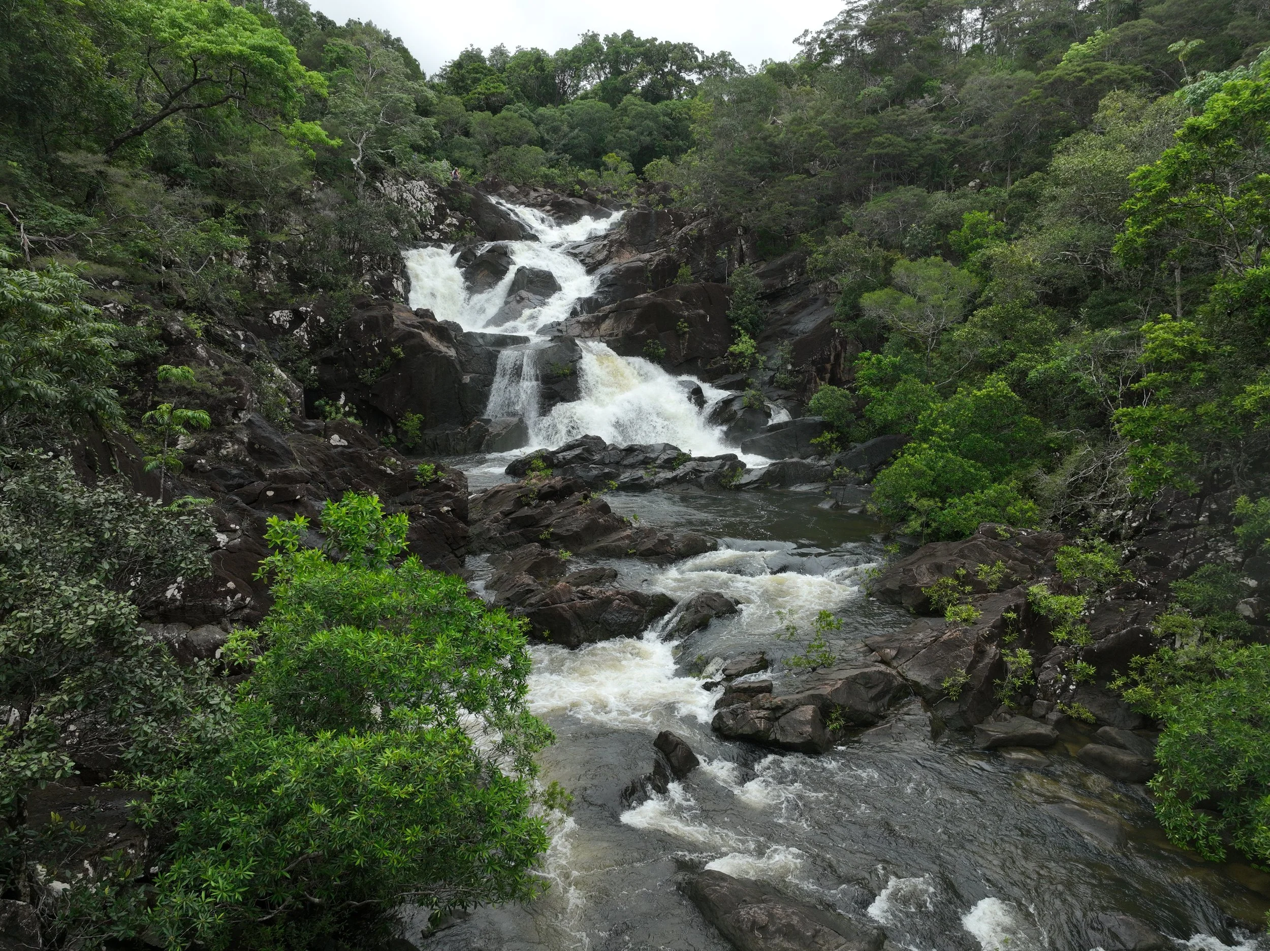 A cascading waterfall flows over dark rocks surrounded by dense green foliage and trees in a rainforest.