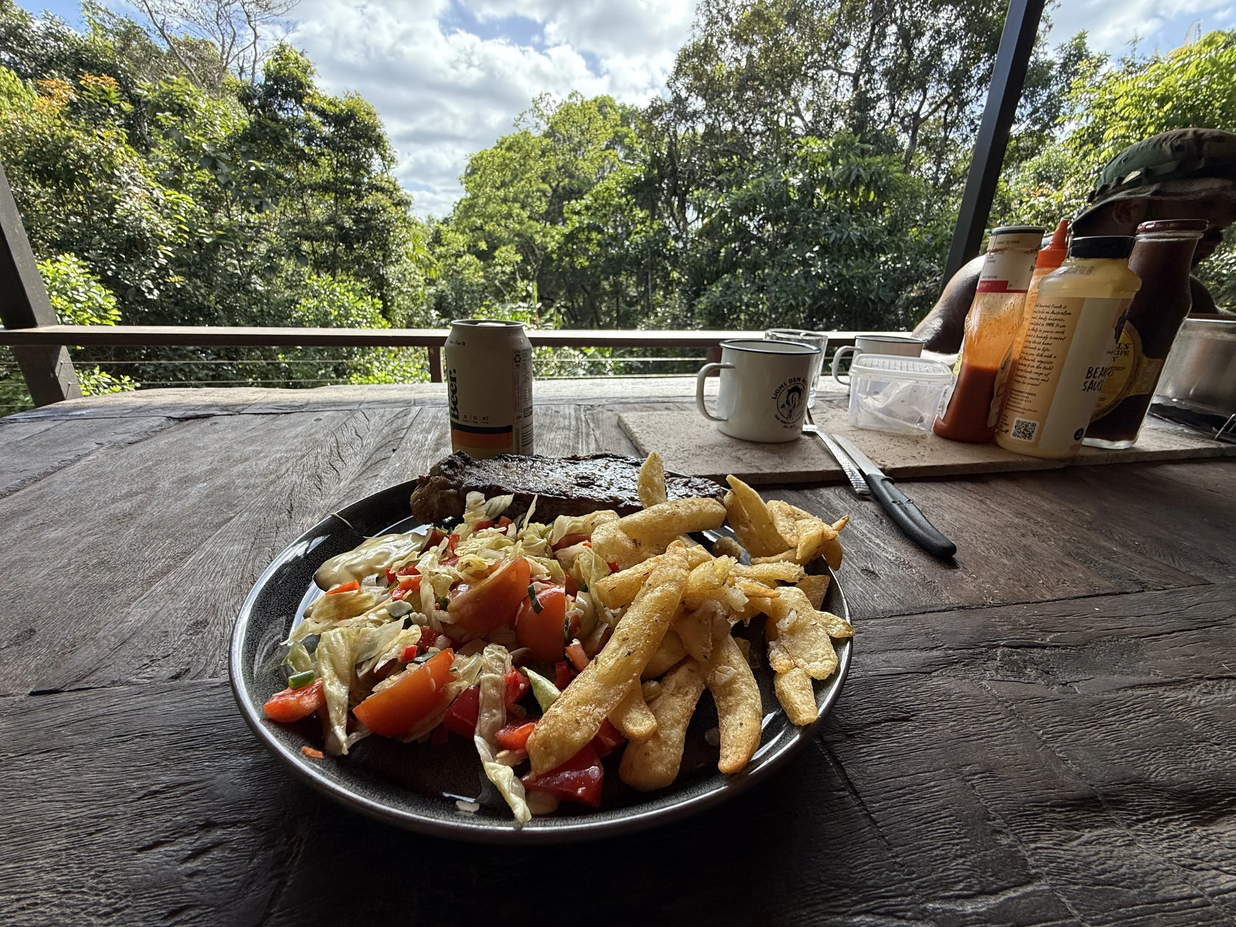 Plate of food with salad, French fries, and a grilled steak on a wooden table, outdoor setting with trees and sky in the background.