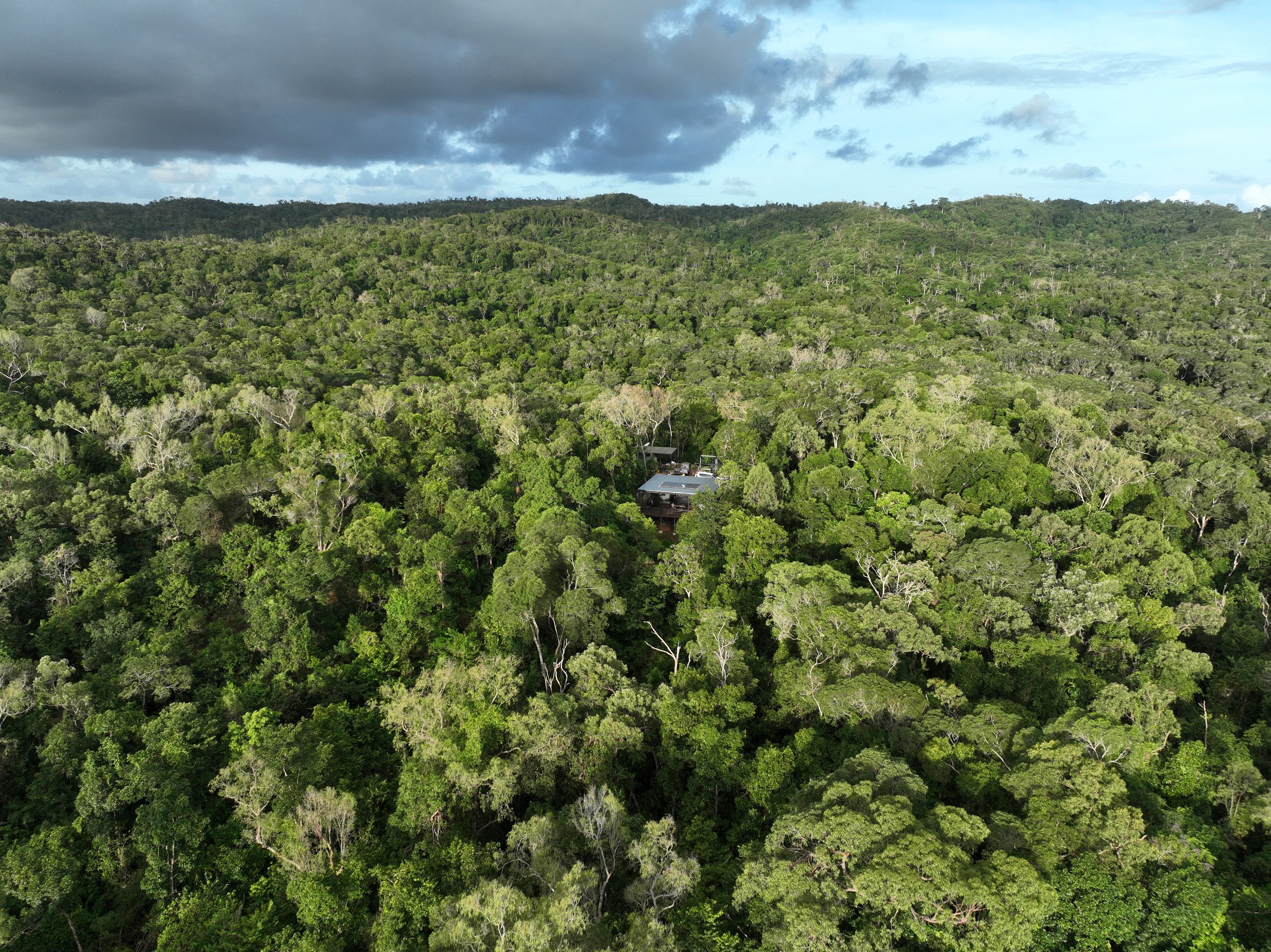Aerial view of a dense green rainforest with a house partially visible among the trees.