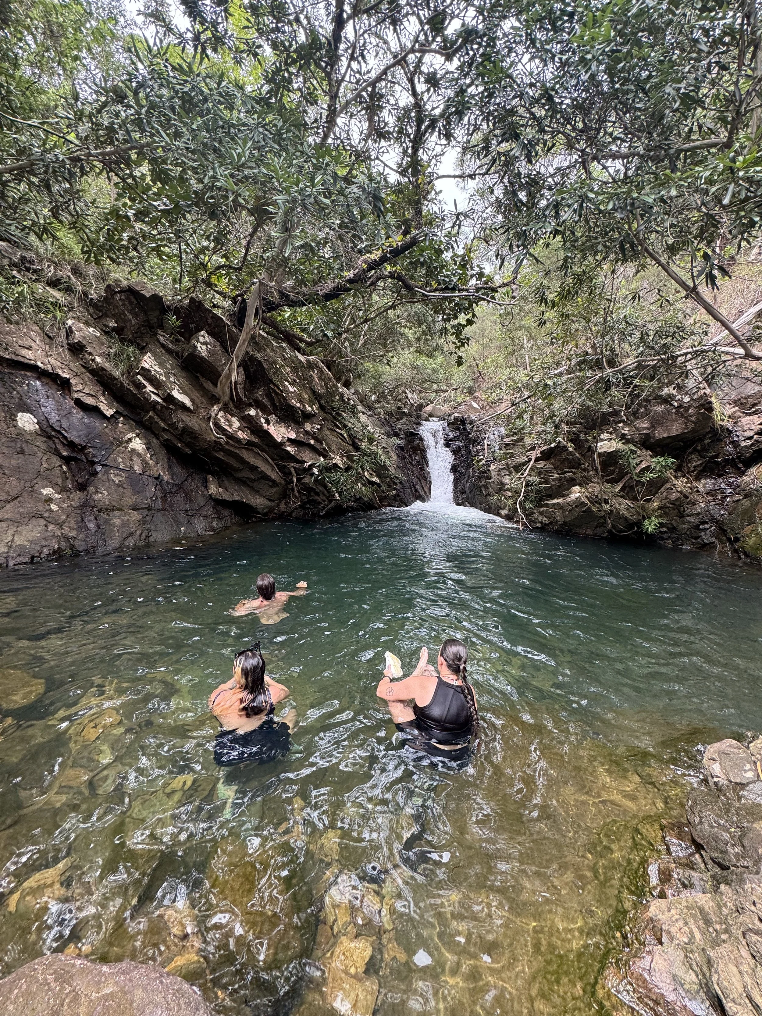 Three people swimming and playing in a natural rock pool beneath a small waterfall surrounded by lush trees and rocks.