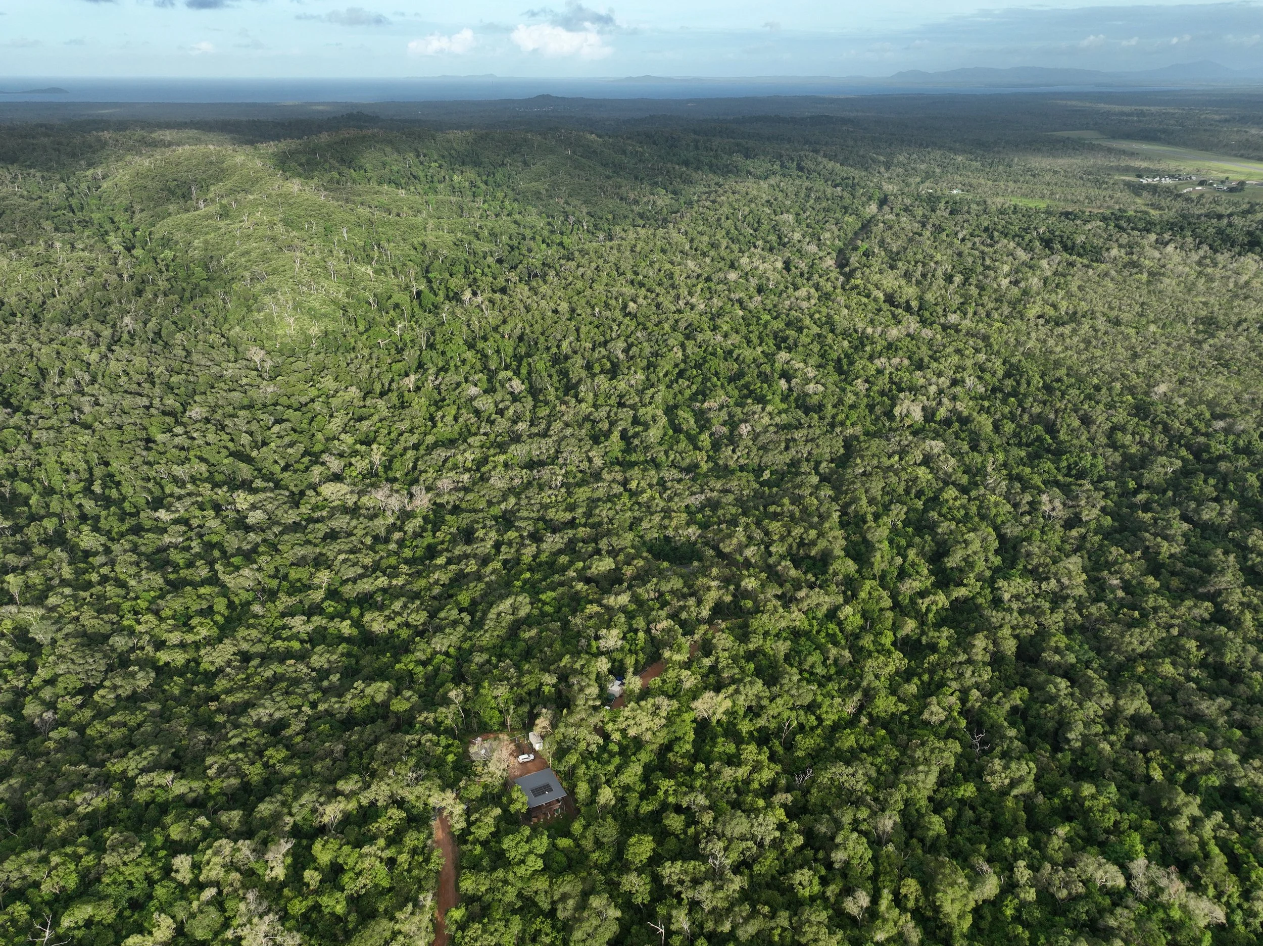 Aerial view of a dense, green rainforest with a small building at the bottom and a road leading to it.