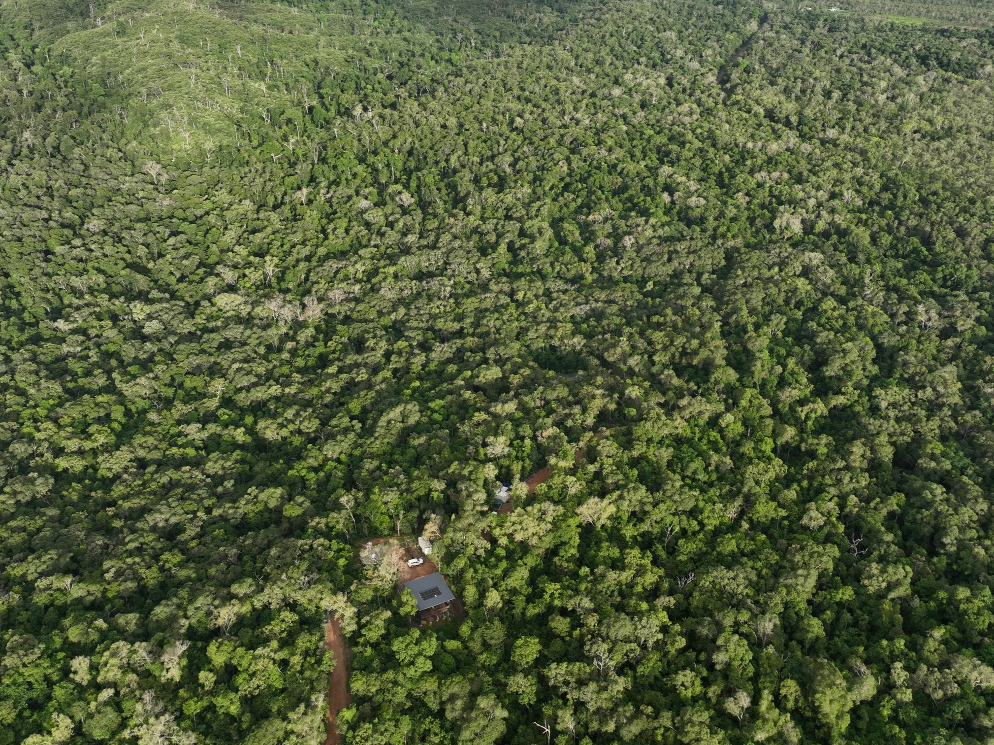An aerial view of a dense green rainforest with a small clearing showing a building with solar panels on the roof, surrounded by trees and a dirt road.