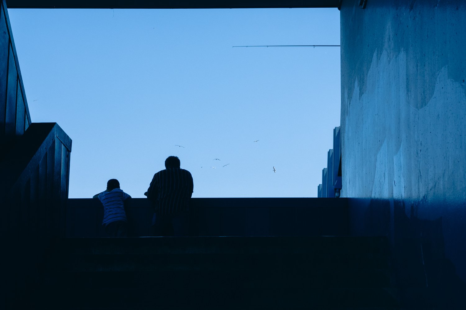 Two silhouetted people leaning on a railing, looking out at a blue sky with birds flying overhead, framed by dark walls and a staircase.