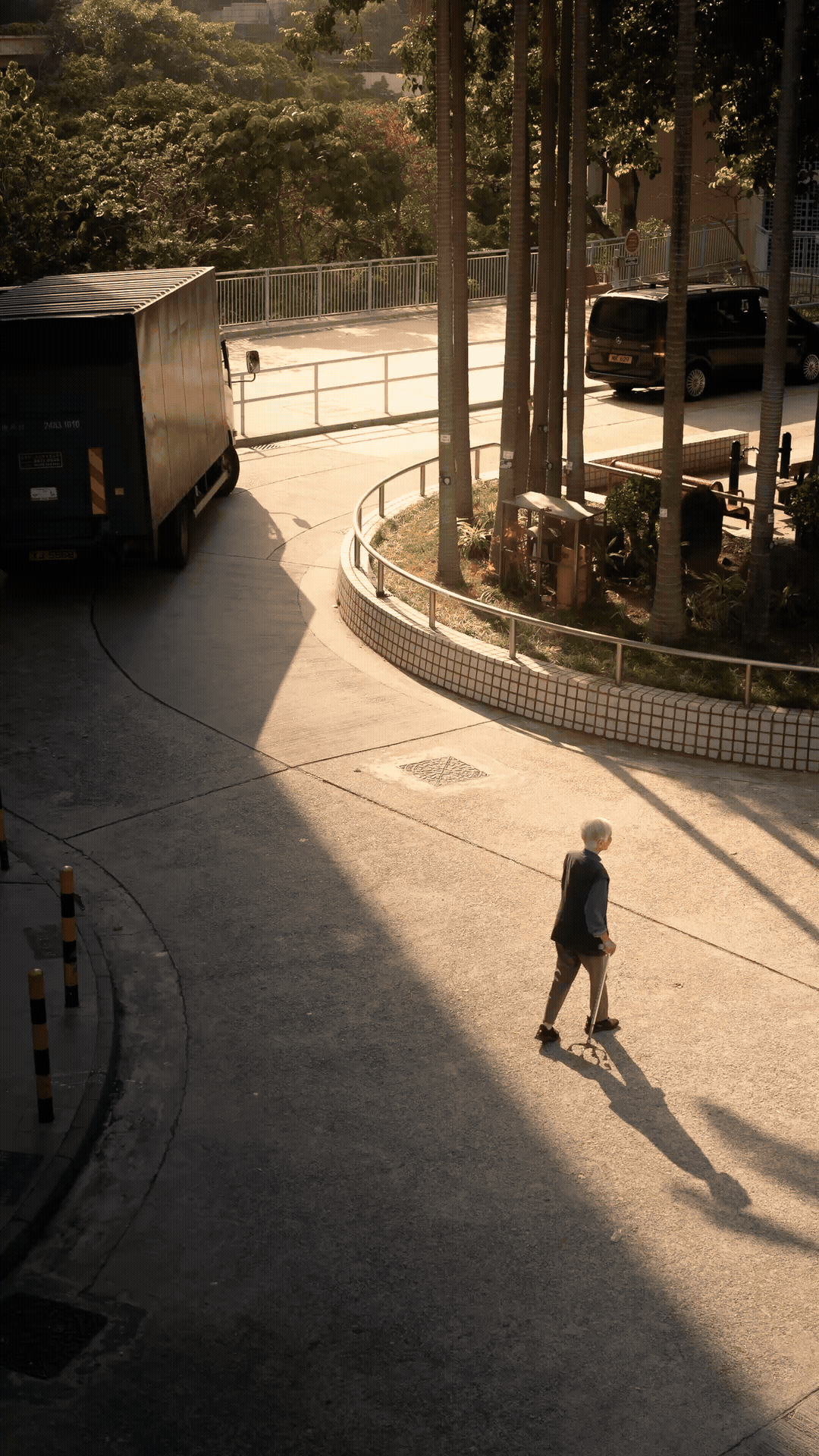 Adobe Express - Untitled.gif