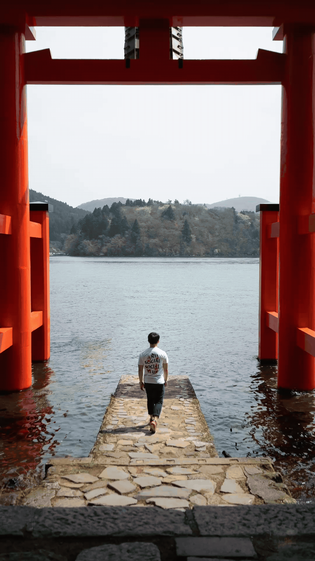 Adobe Express - S&T Before After 3 (1).gif