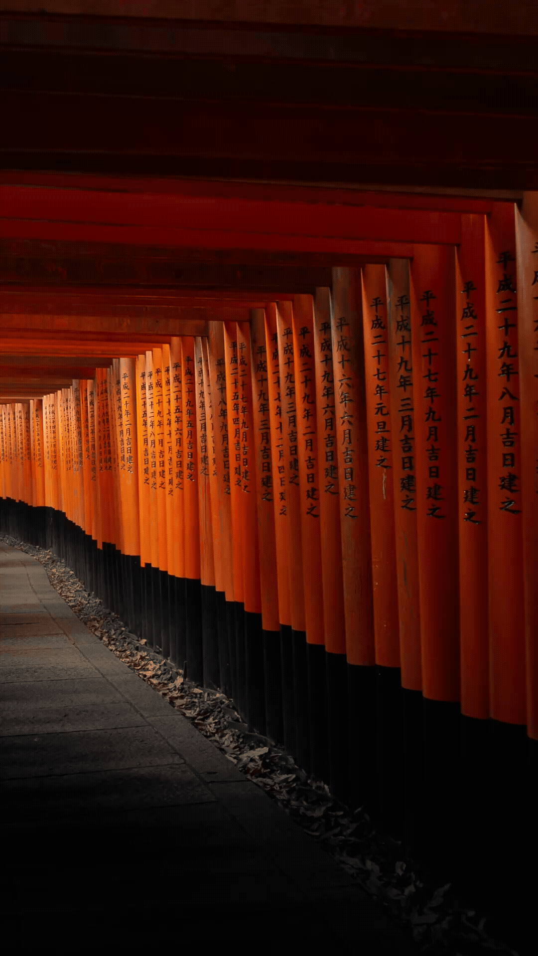 Adobe Express - S&T Before After 4.gif