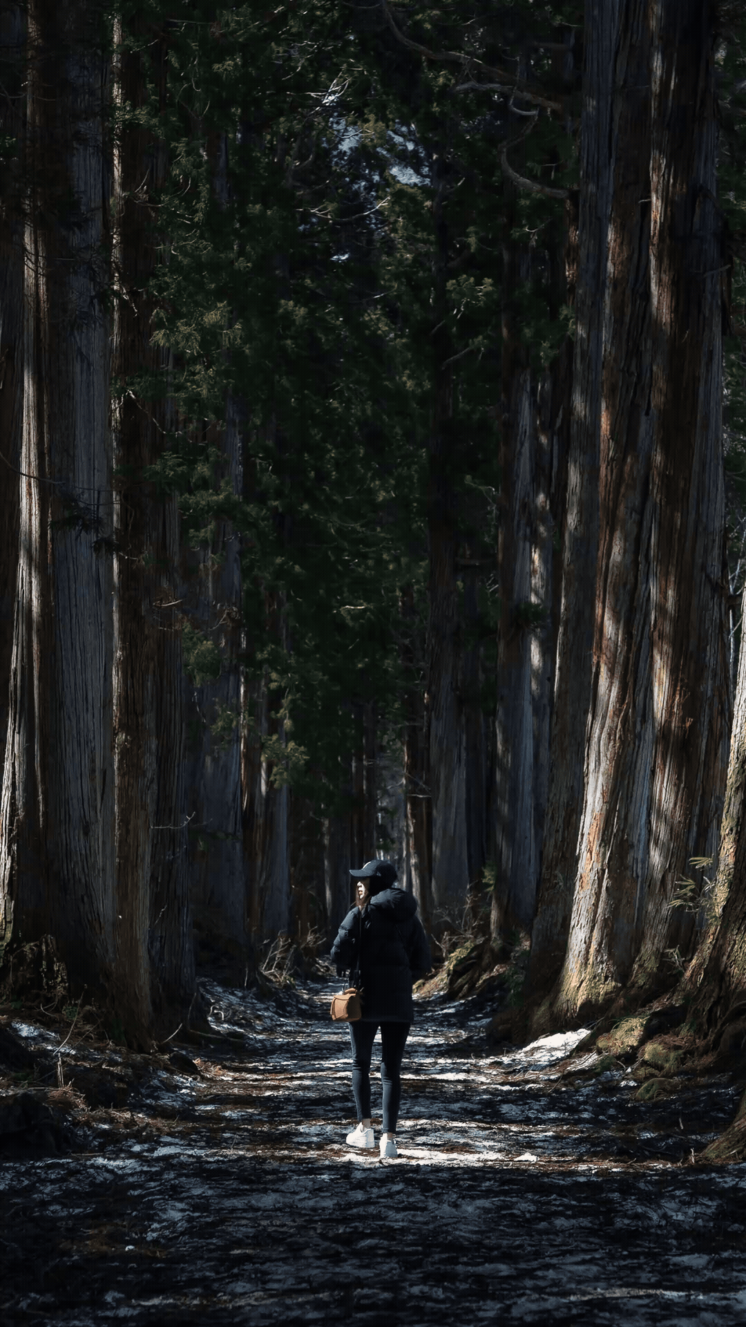 Adobe Express - S&T Before After 2.gif