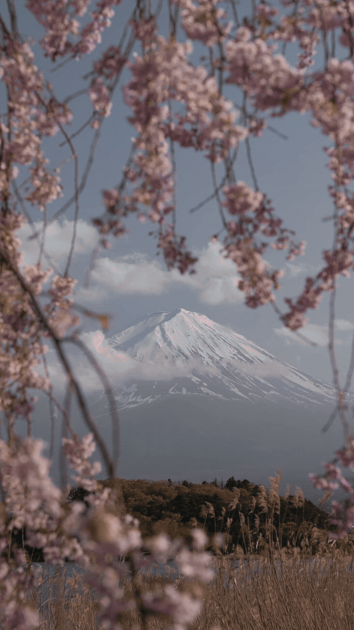 Adobe Express - Before After Fuji.gif