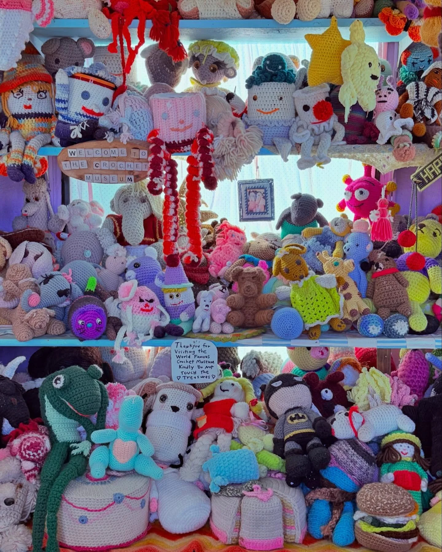 Having a nice time remembering how to person 🌵😎🌈