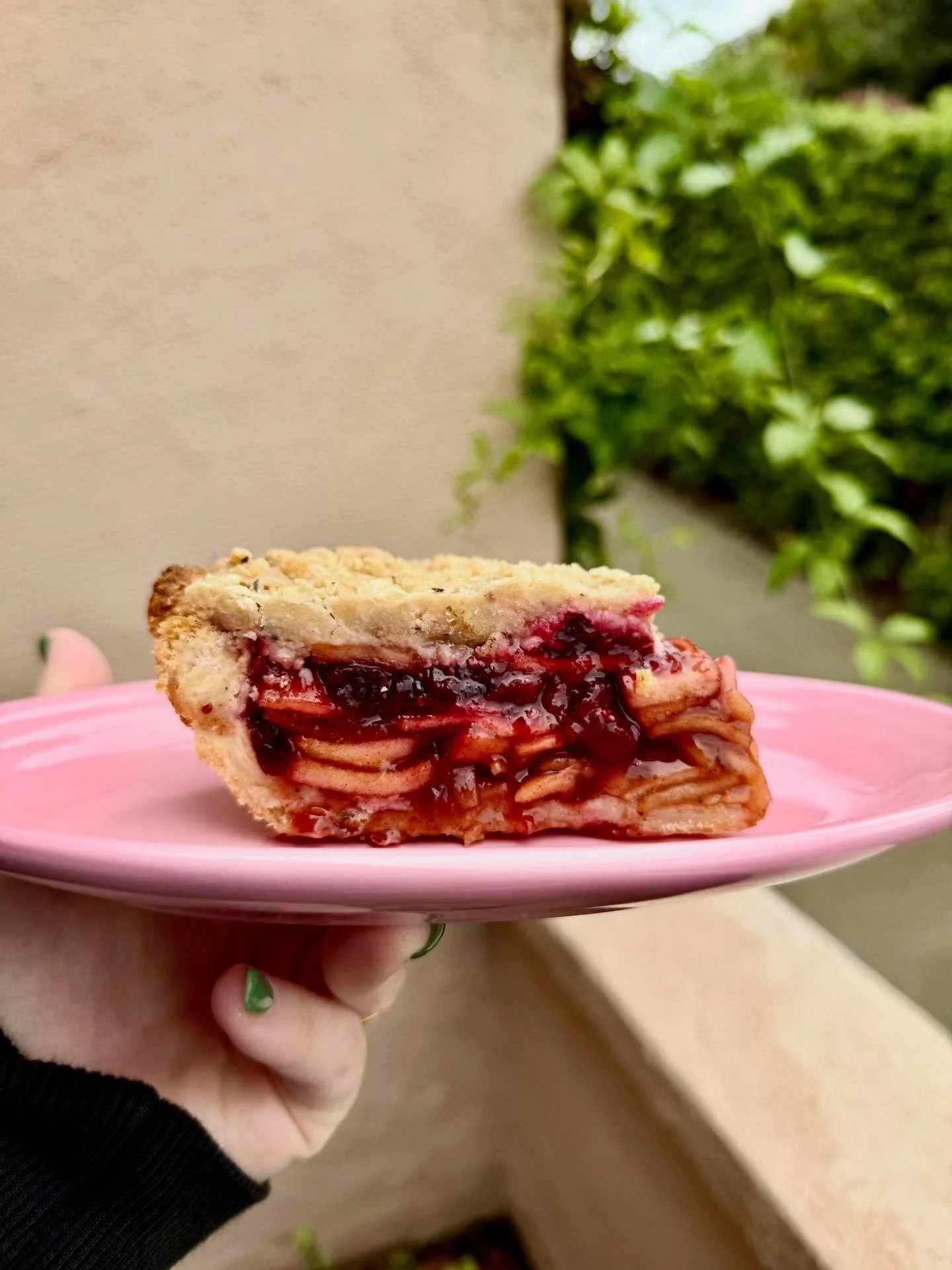 Don&rsquo;t forget to order pies by Friday morning! Thank you so much to everyone who has already ordered!!! Link in the bio! 👼🥧