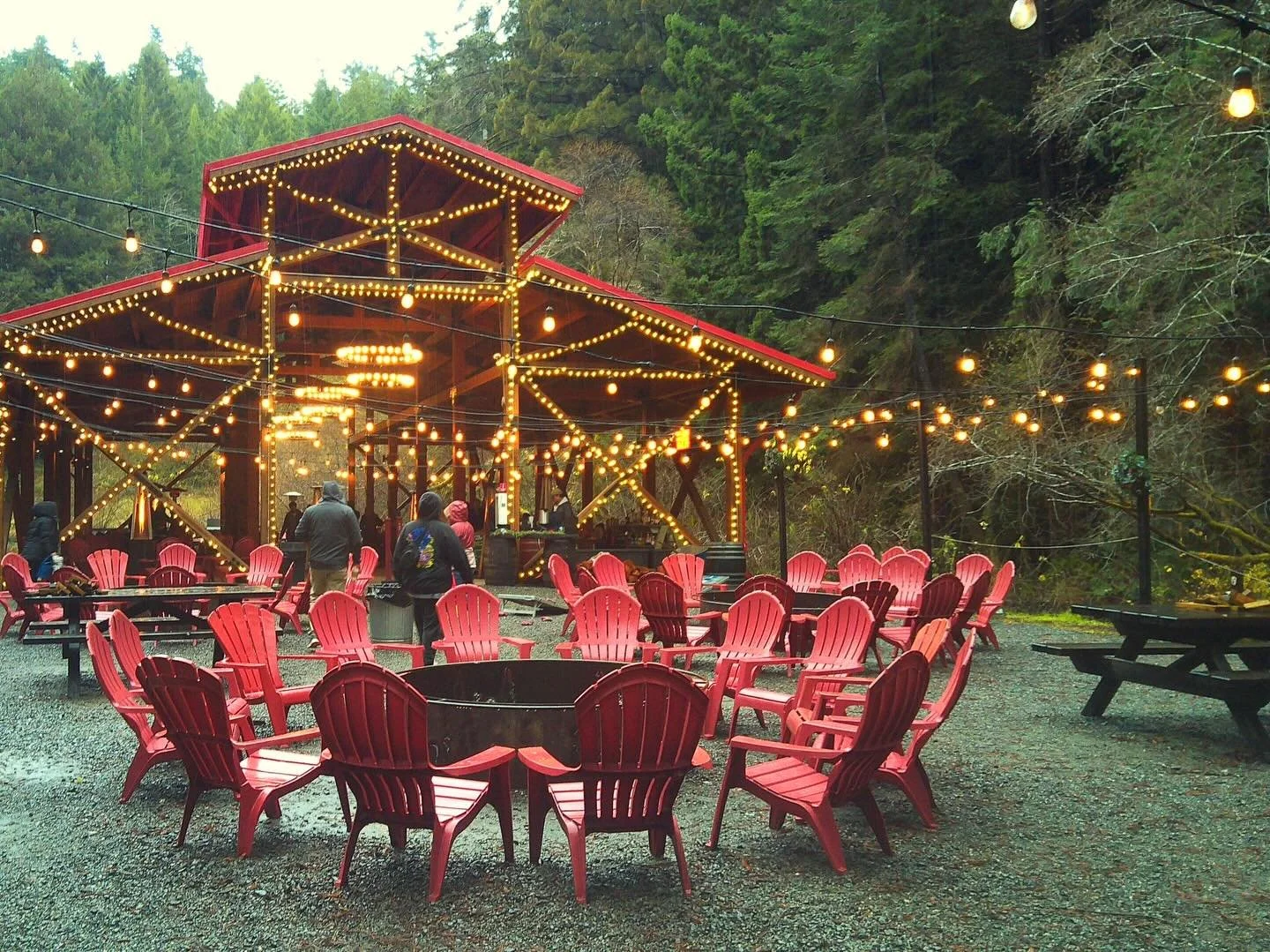Resoluting to keep on keepin&rsquo; on with some ocean views and redwood trees! 🌊 🙃@campsnapcamera #sanfrancisco #mendocino #catalinaisland