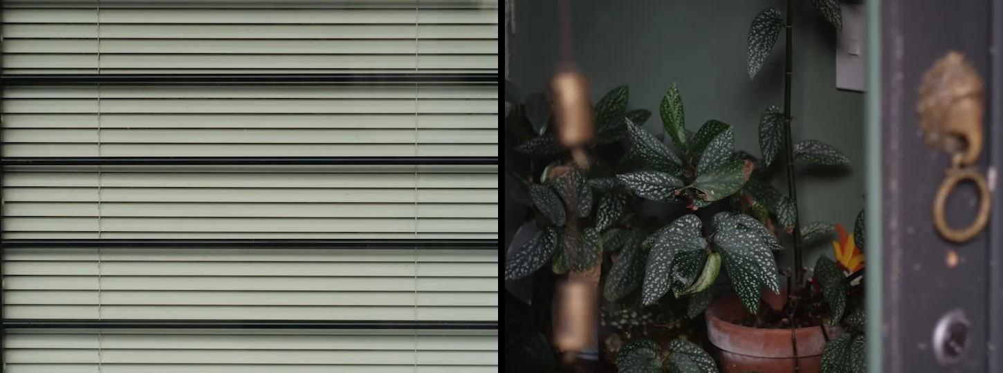 Comp 1 (0-01-09-21).jpg