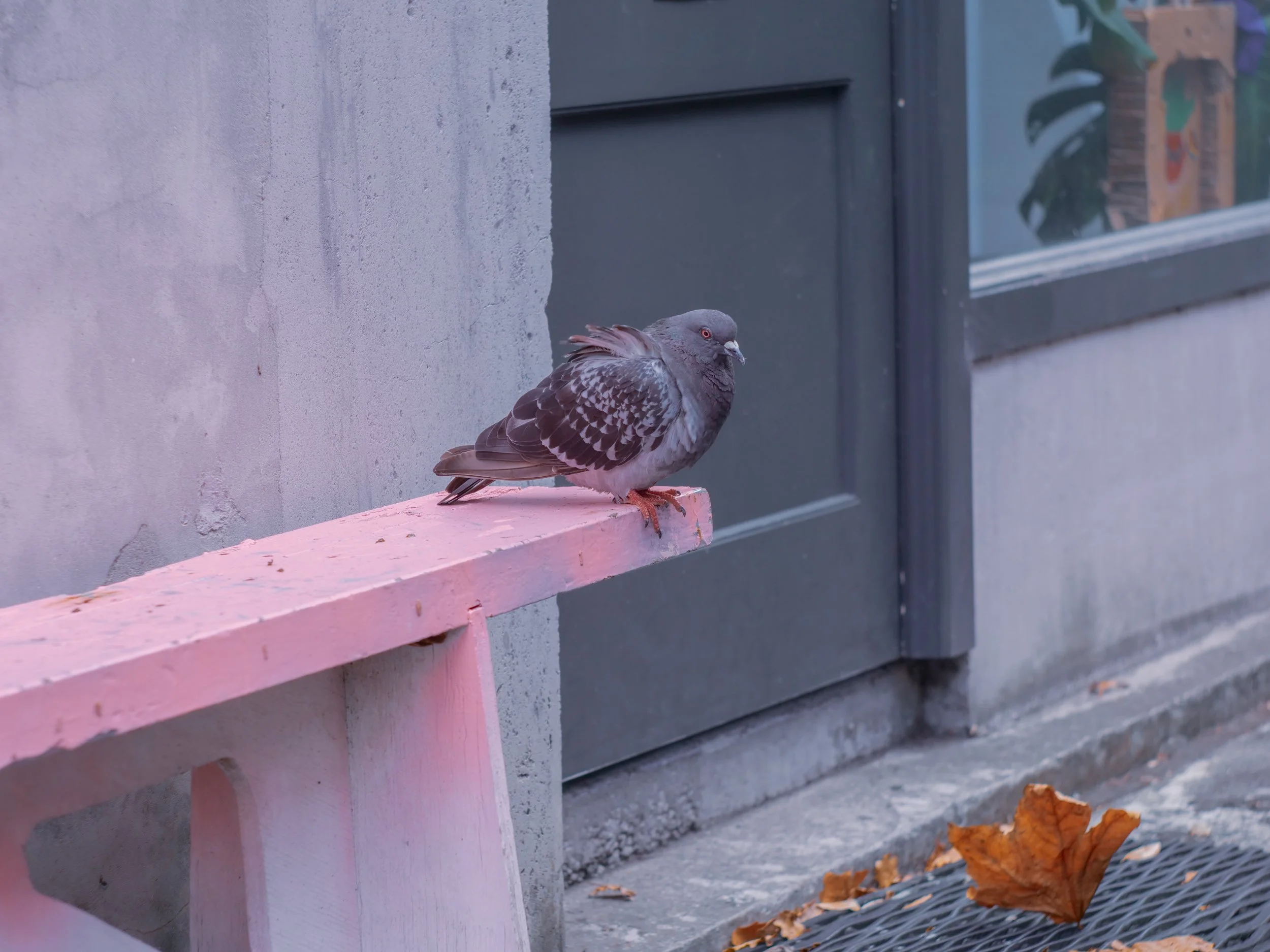 P1000431.jpg