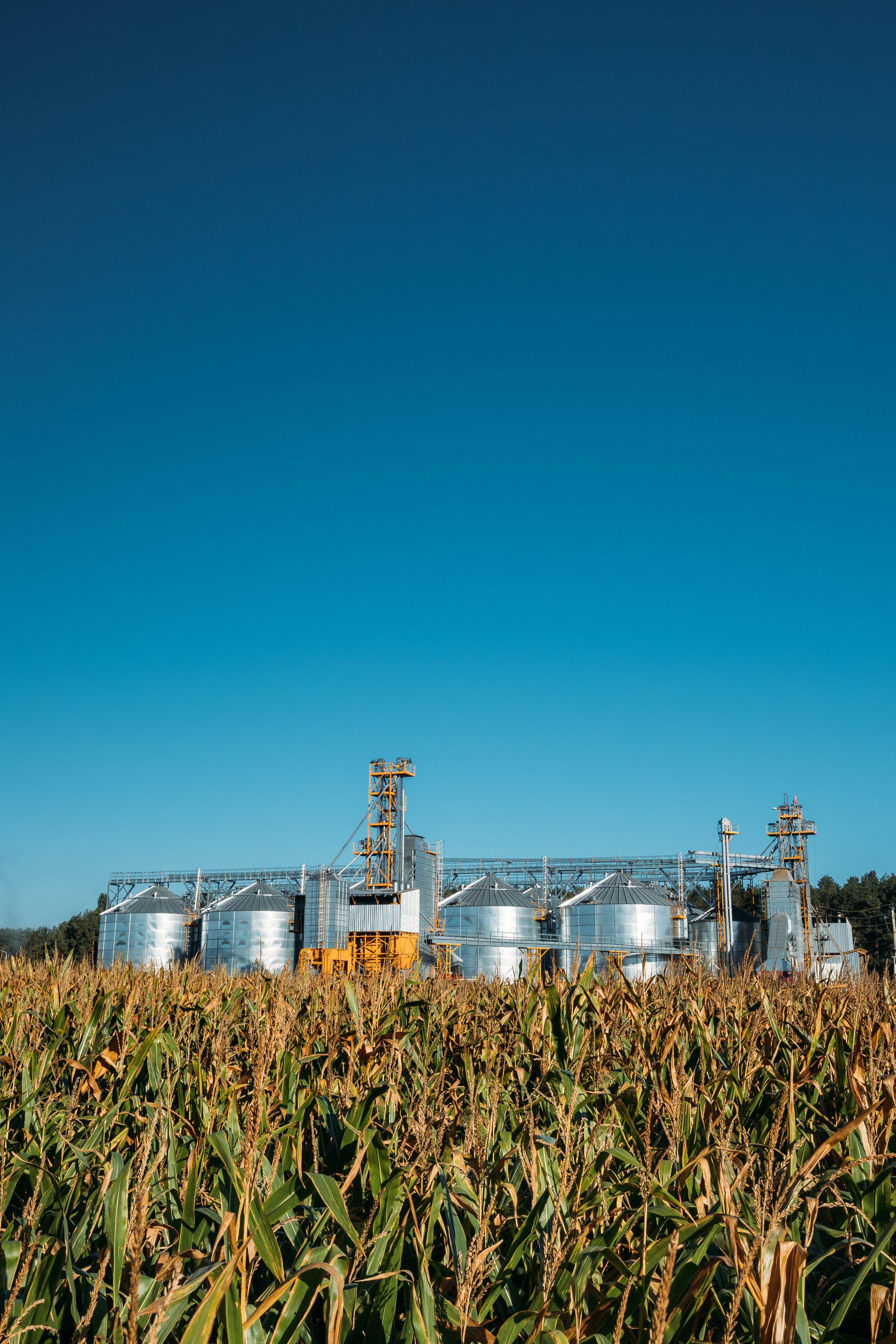 modern-granary-grain-drying-complex-commercial-g-2023-11-27-05-12-10-utc.jpg