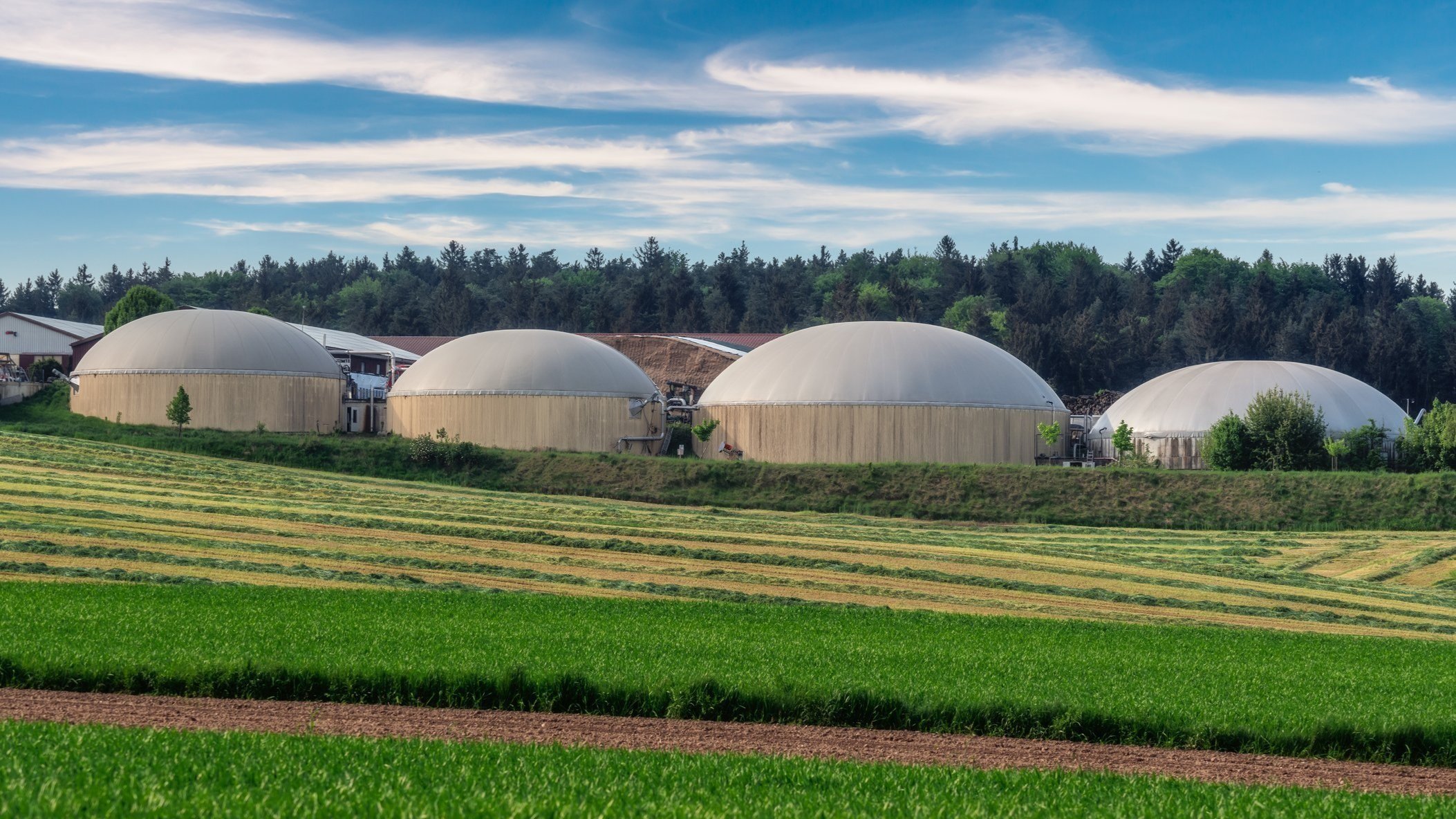 alternative-energy-with-bio-technology-2023-12-22-17-14-38-utc.jpg