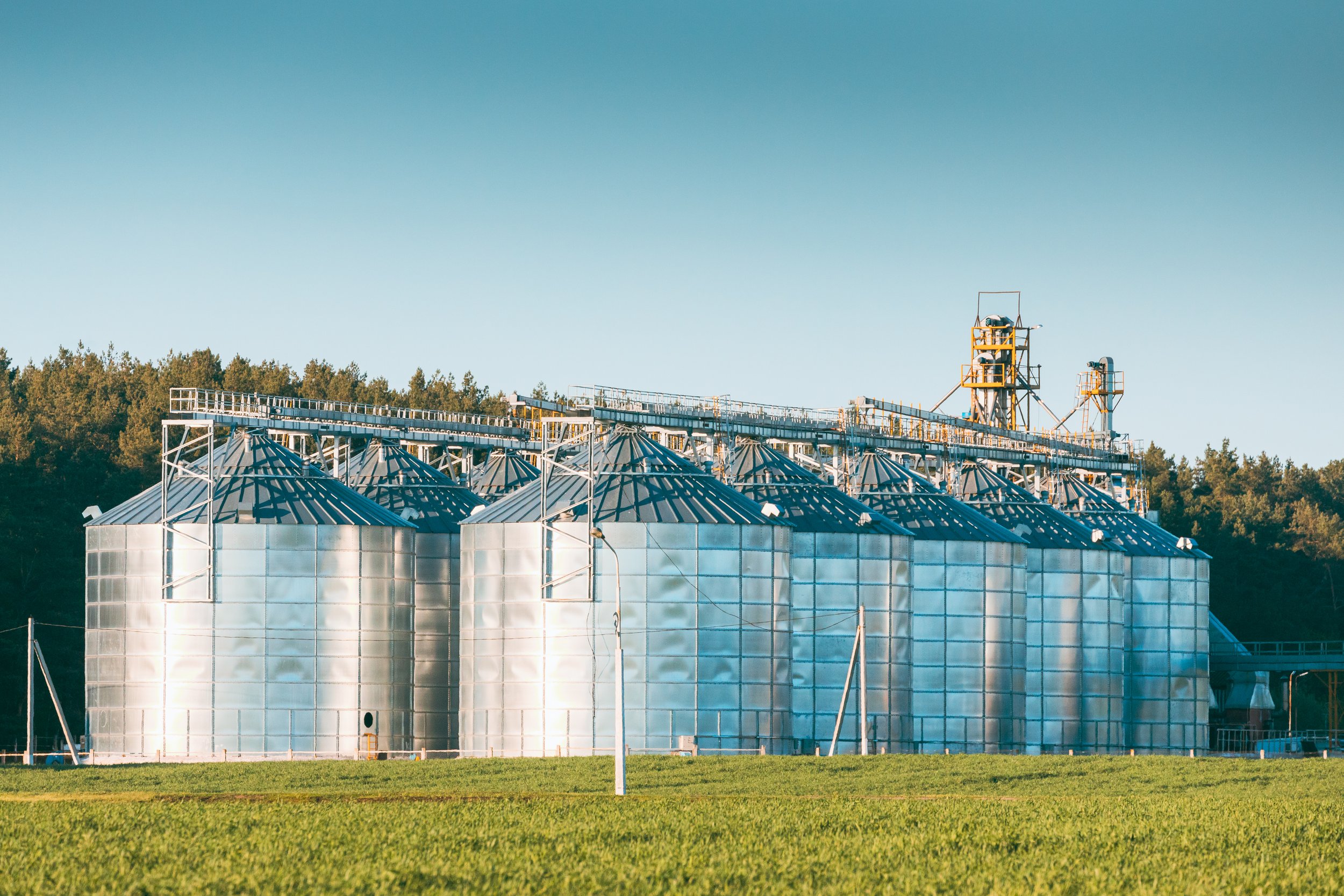 view-modern-granary-grain-drying-complex-commerc-2023-11-27-05-17-02-utc.jpg