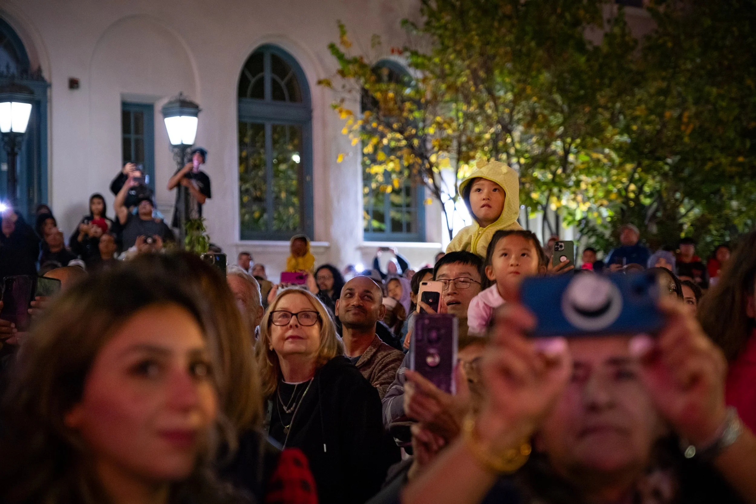 Festival of Lights 2023 Inauguration