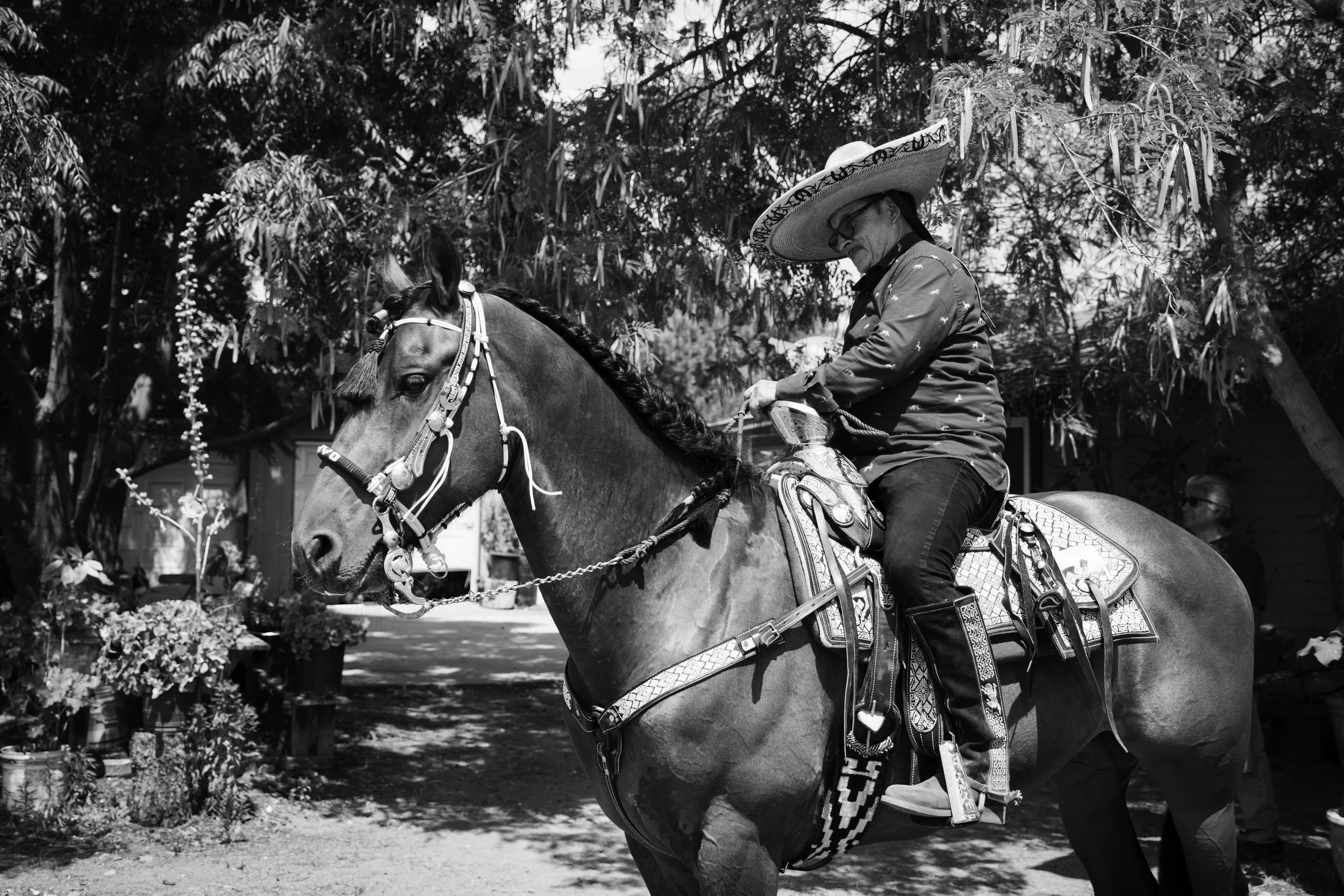Charro riding his horse before the cabalgata.