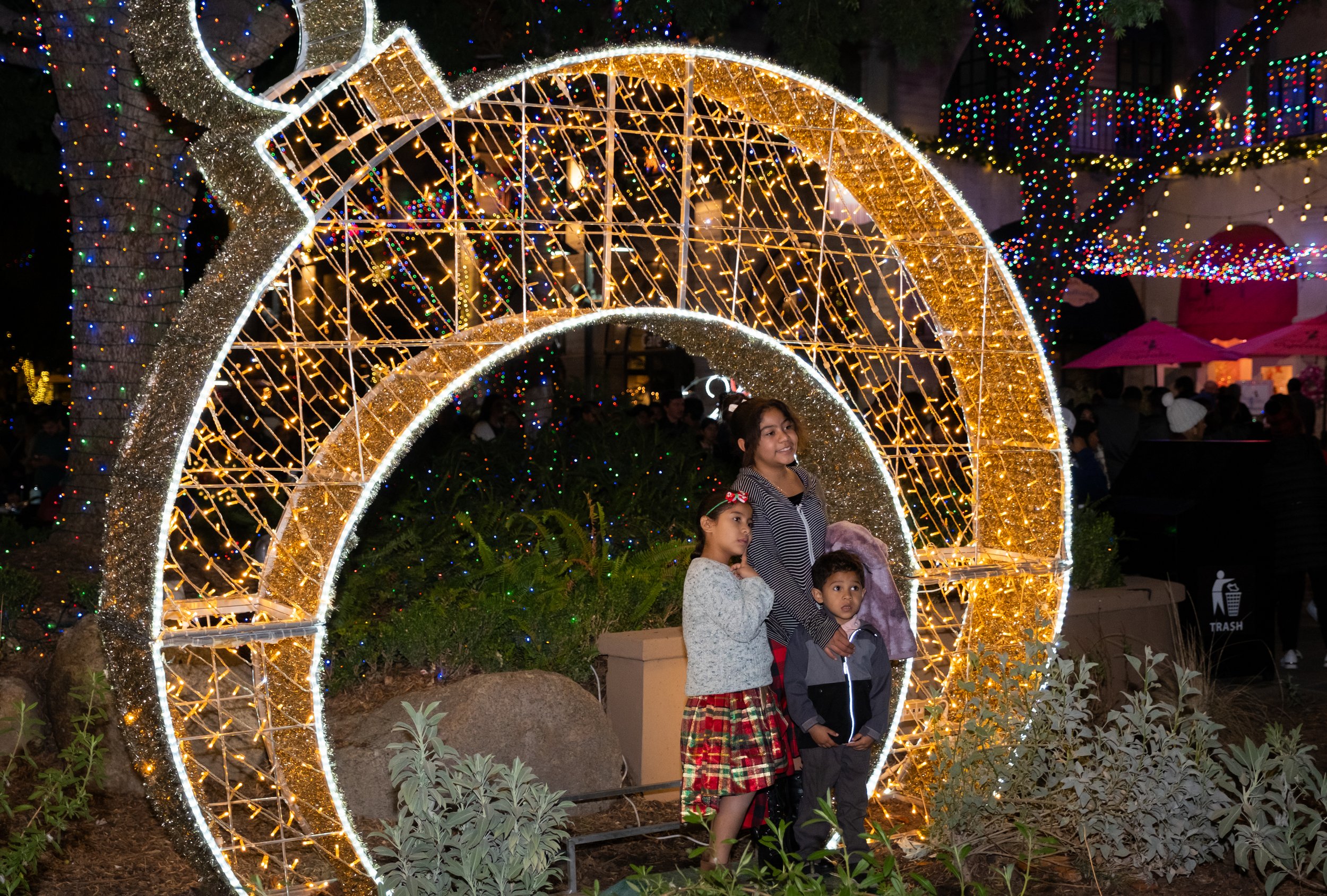 Festival of Lights 2023 Inauguration