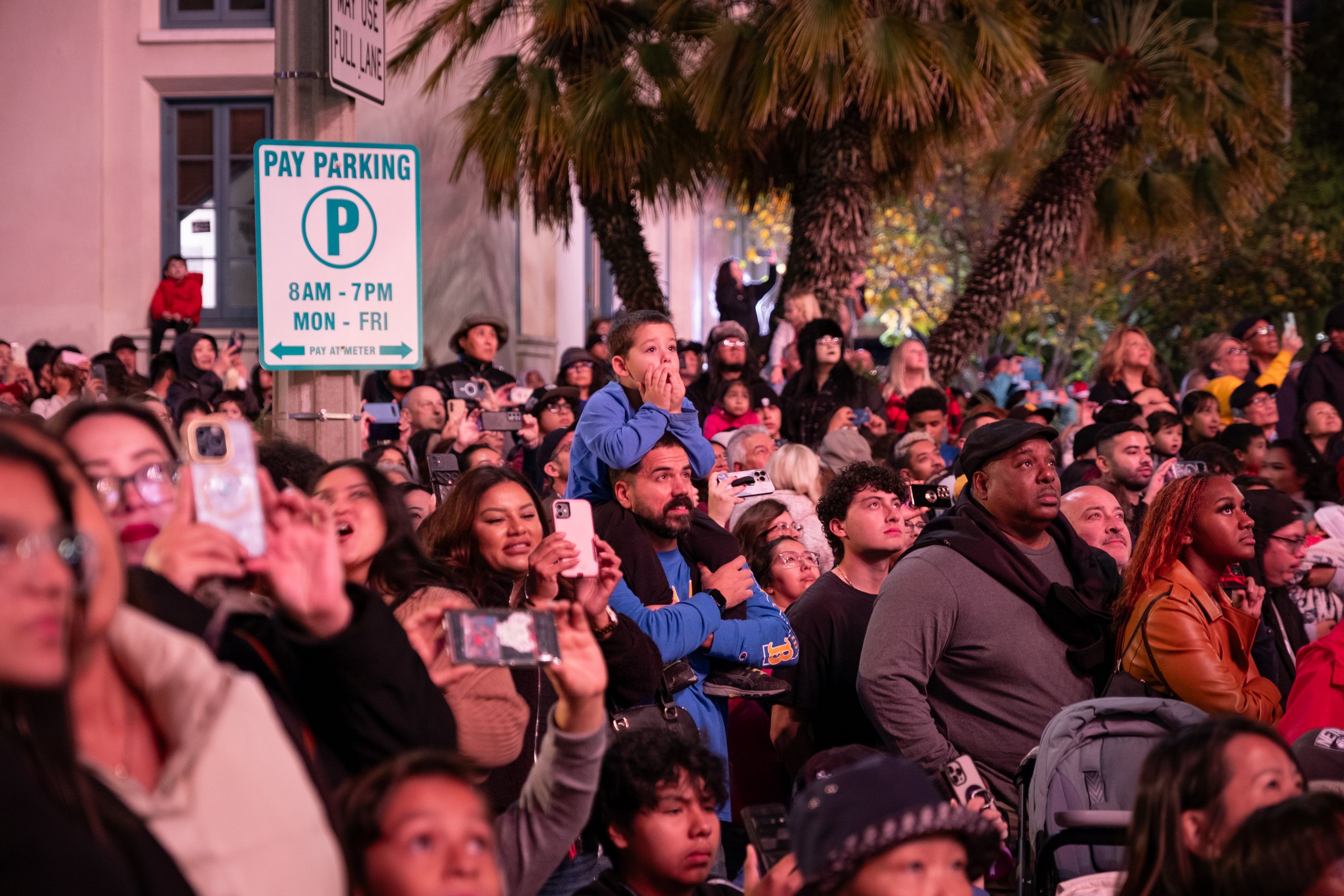 Festival of Lights 2023 Inauguration