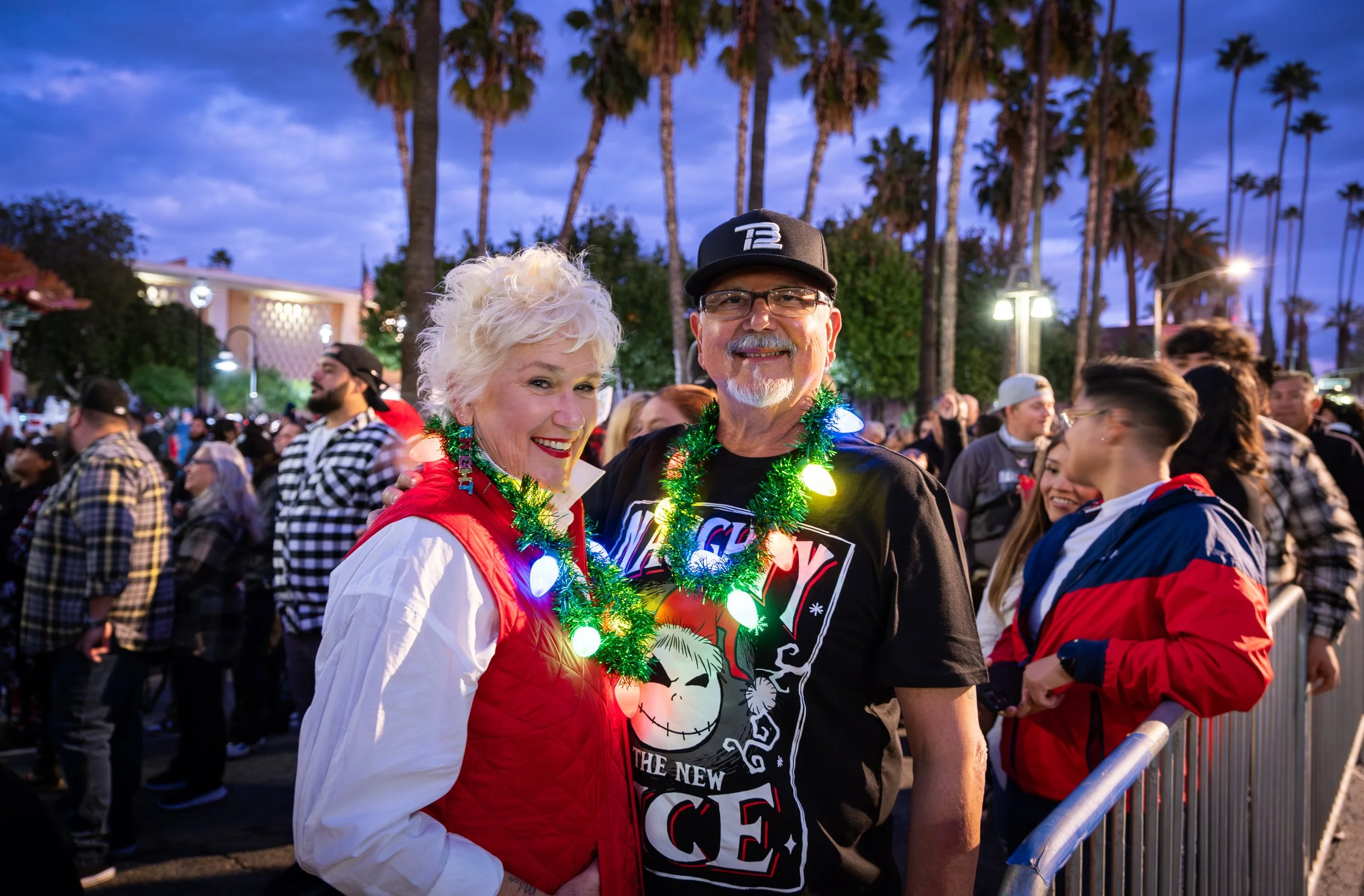 Festival of Lights 2023 Inauguration