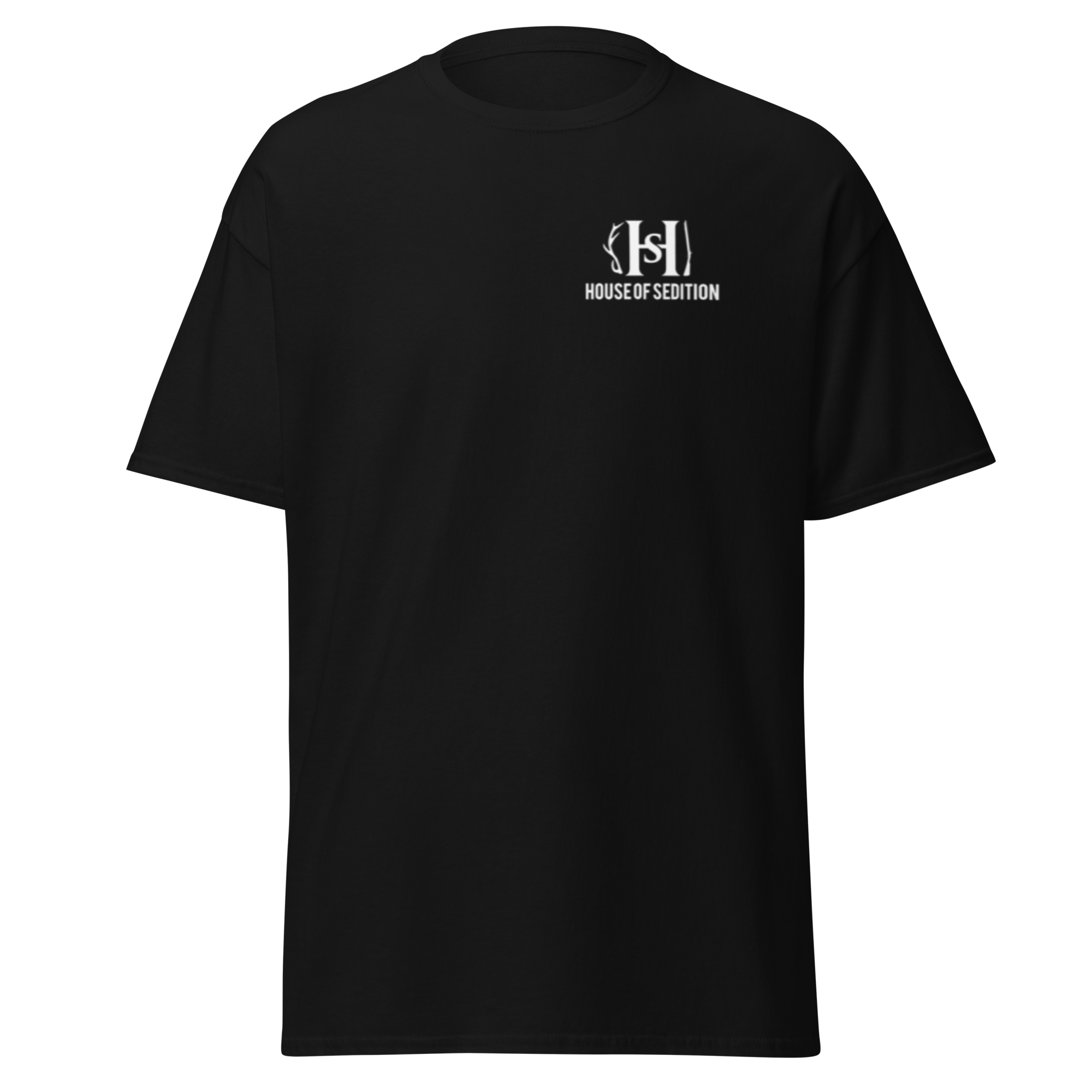 unisex-classic-tee-black-front-6ad58e4d54626.png
