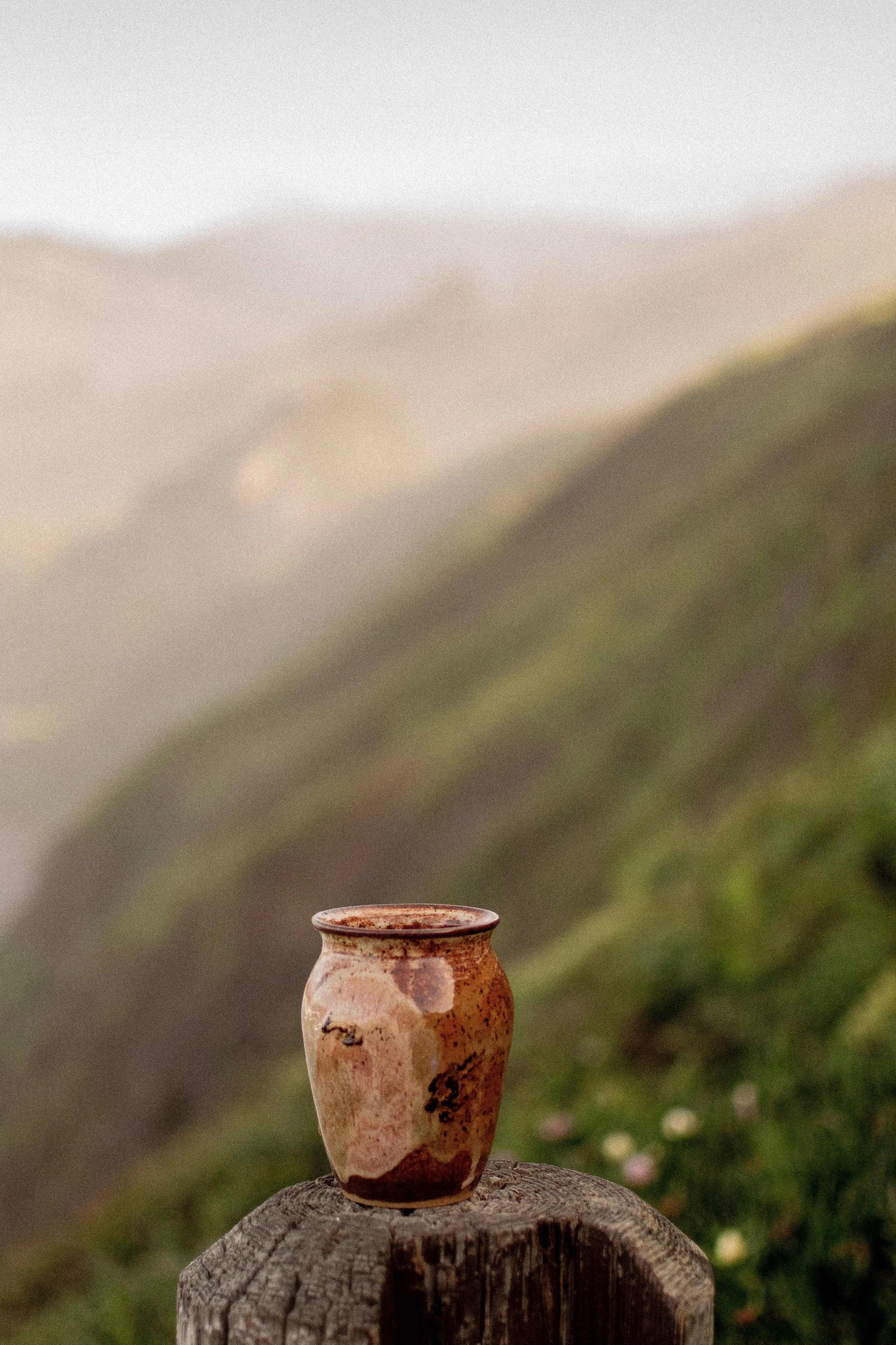 DSC_0503.jpg