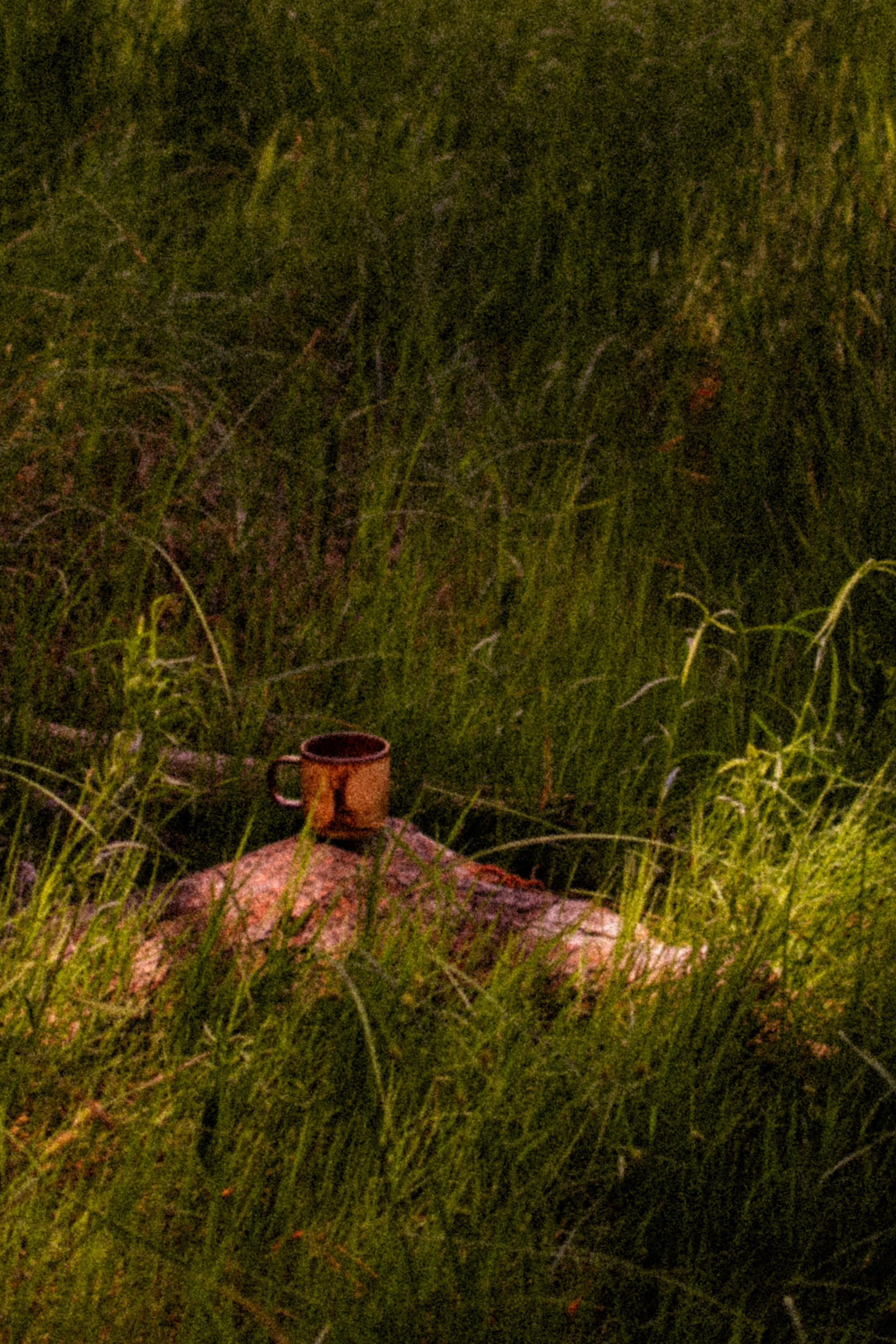 DSC_0884.jpg