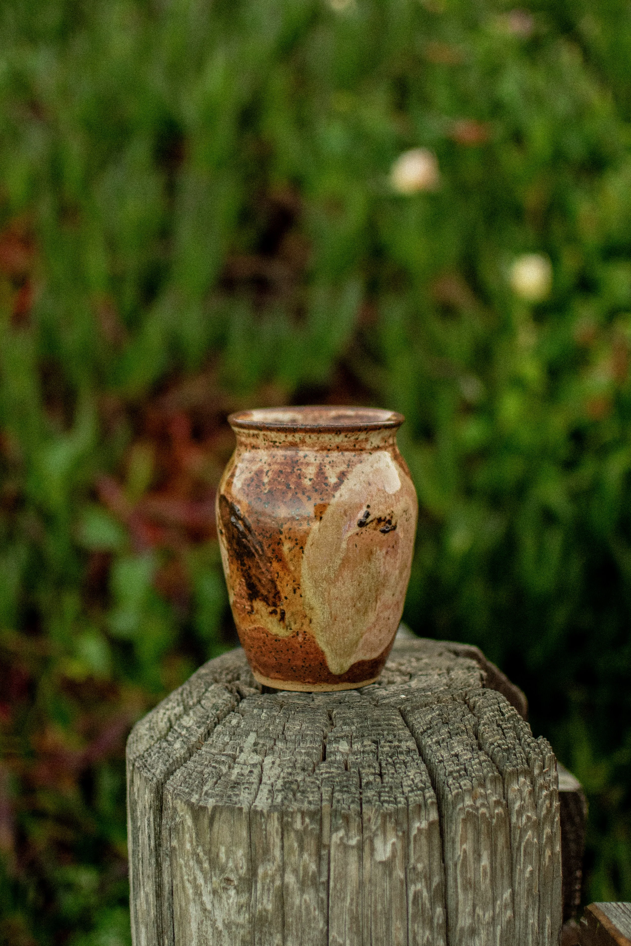 DSC_0508.jpg
