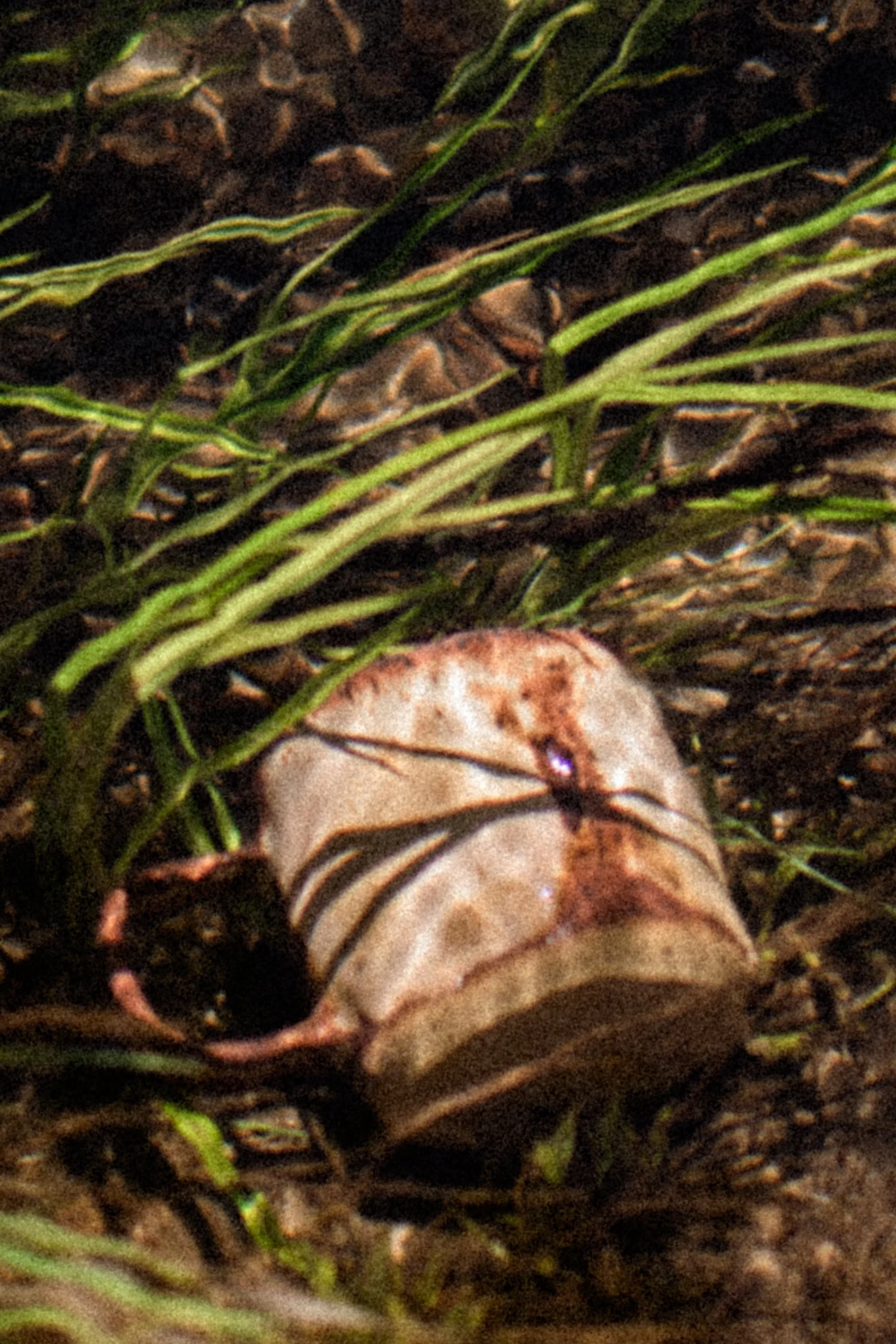 DSC_0819.jpg