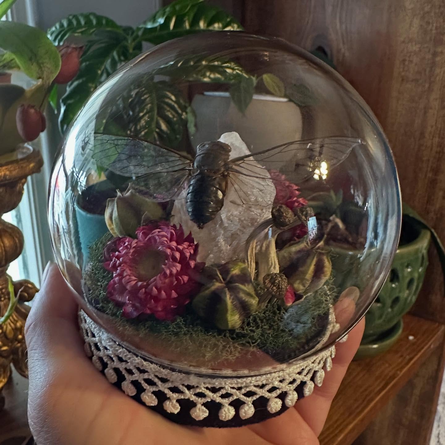 Cicada mini globe