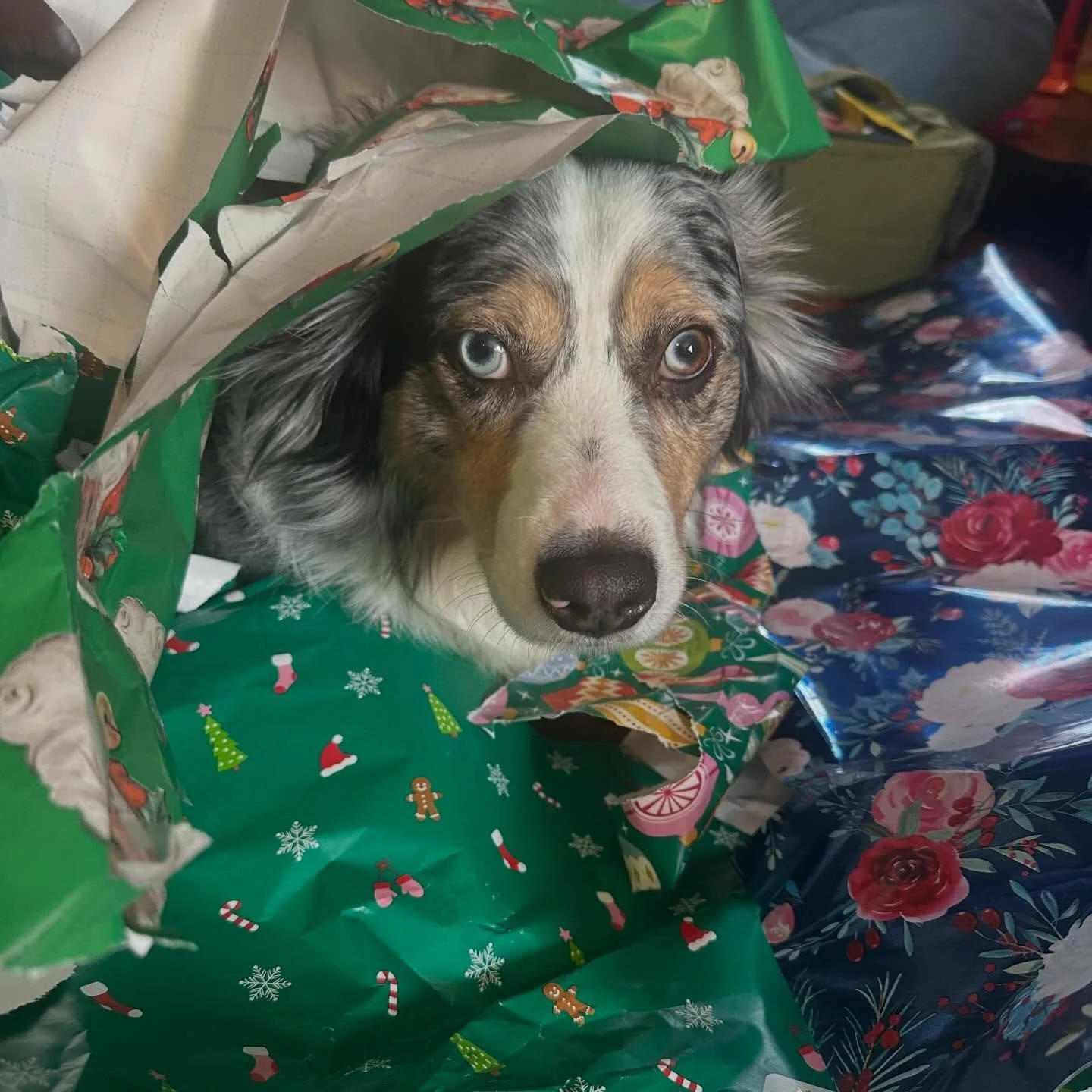 Merry Christmas &amp; Happy Holidays!!! Thank you to everyone who supported my new business venture this year. &hearts;️