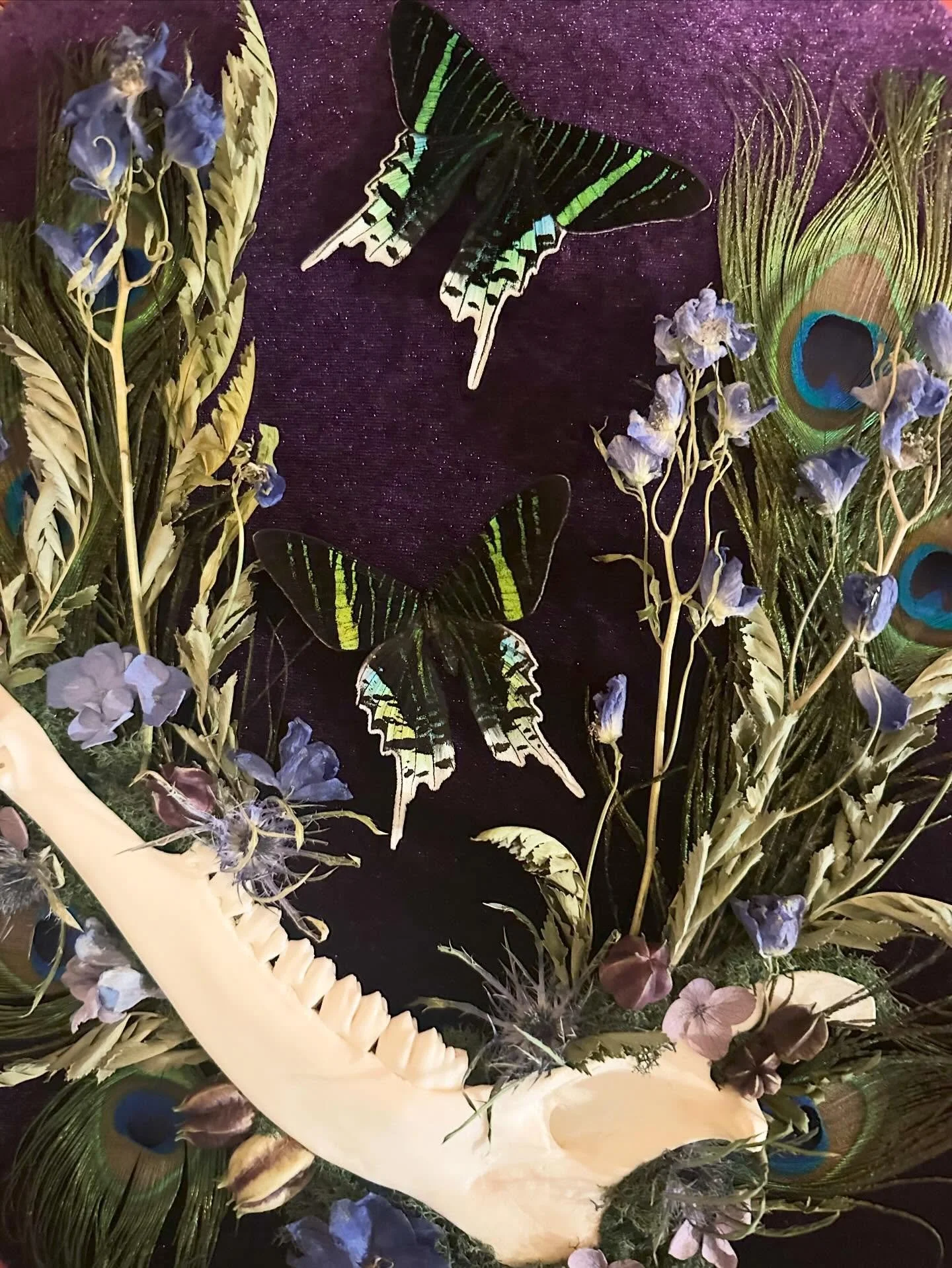 Working hard this week preparing for World Oddities Expo! Here are some previews of just a few items I will be bringing along with me this weekend.

#worldodditiesexpo