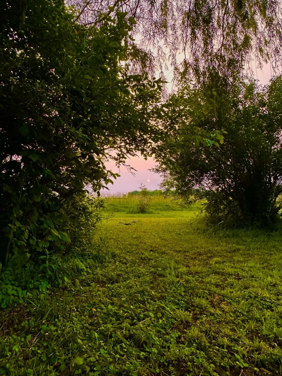 &ldquo;In the midst of winter, I found there was, within me, an invincible summer.
And that makes me happy.
For it says that no matter how hard the world pushes against me,
within me, there&rsquo;s something stronger-
something better, pushing right 