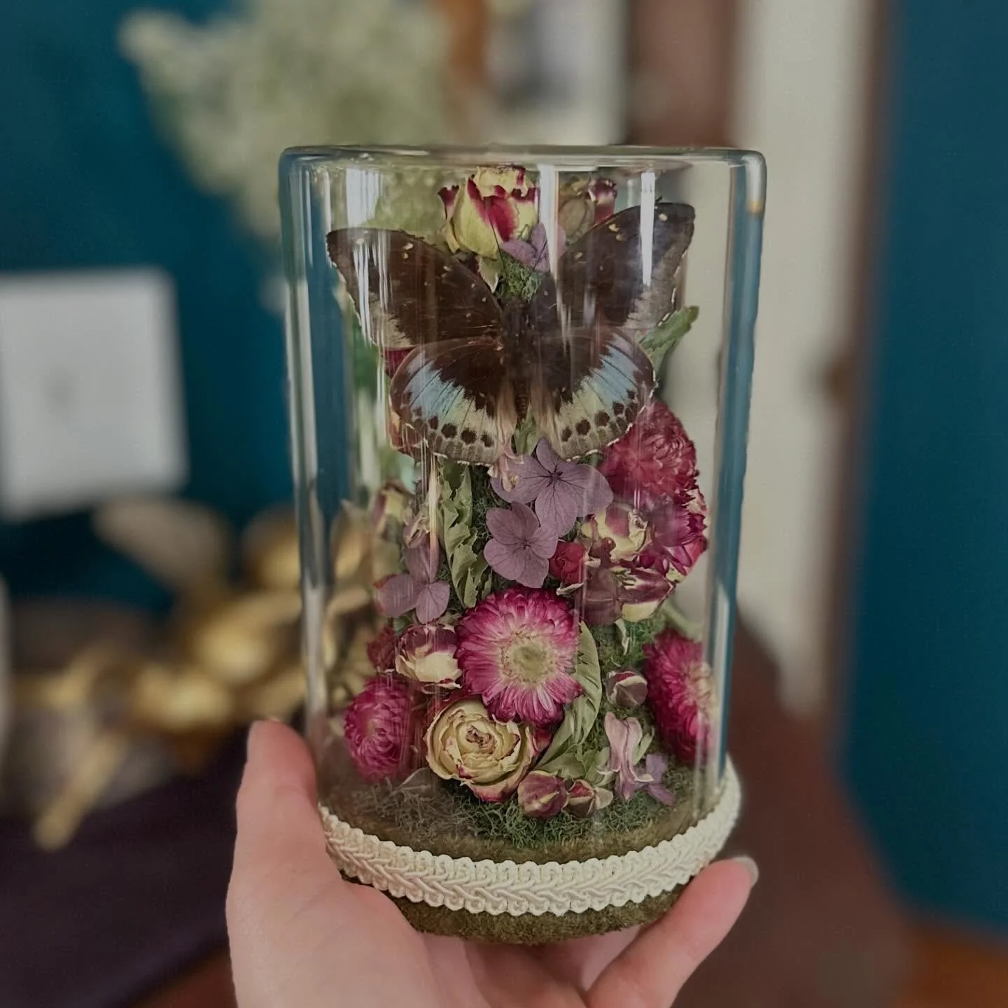 Stay tuned for updates on all the upcoming shows this year!