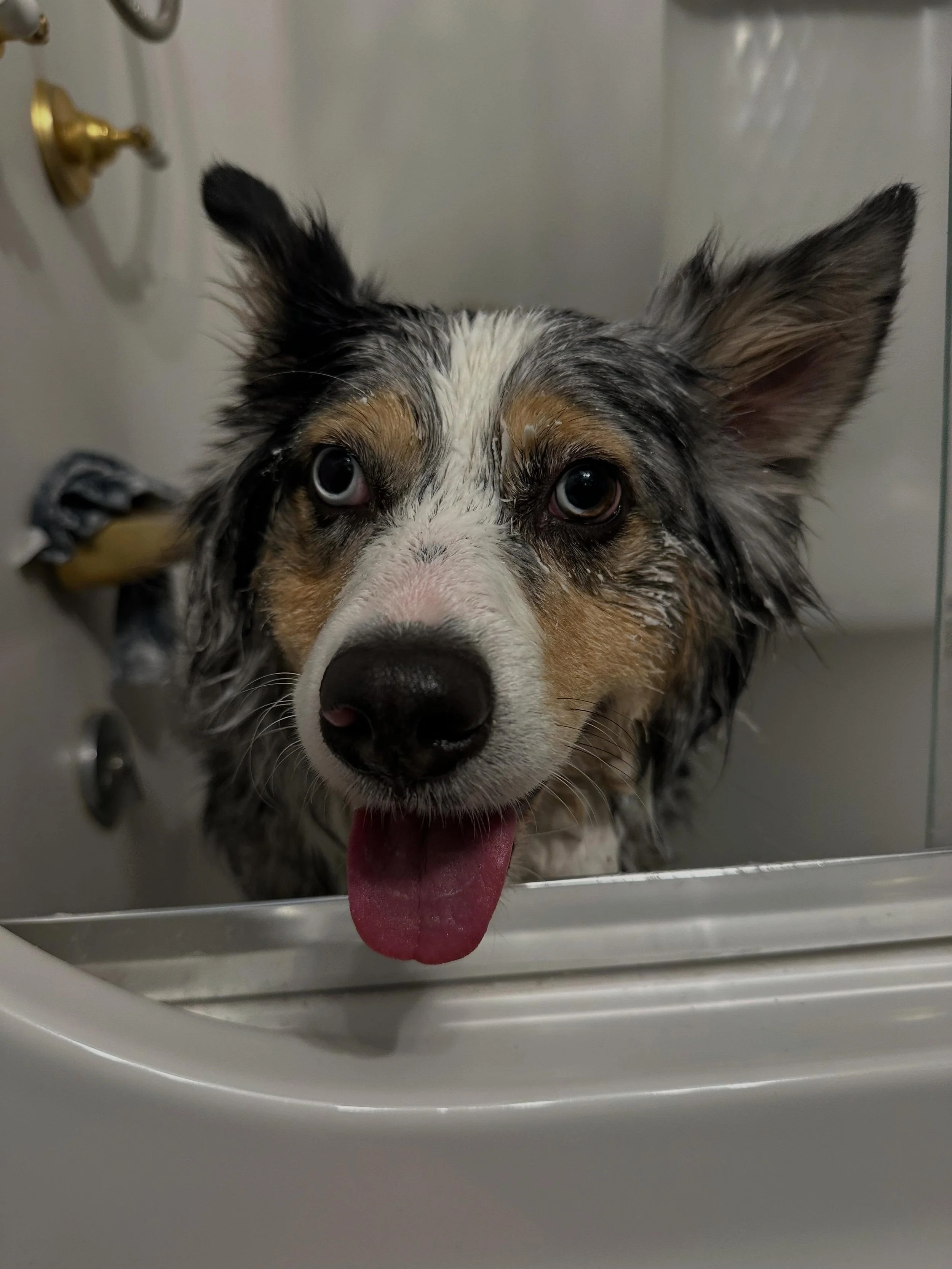Do you think he feels sorry for getting skunked a second time this week?