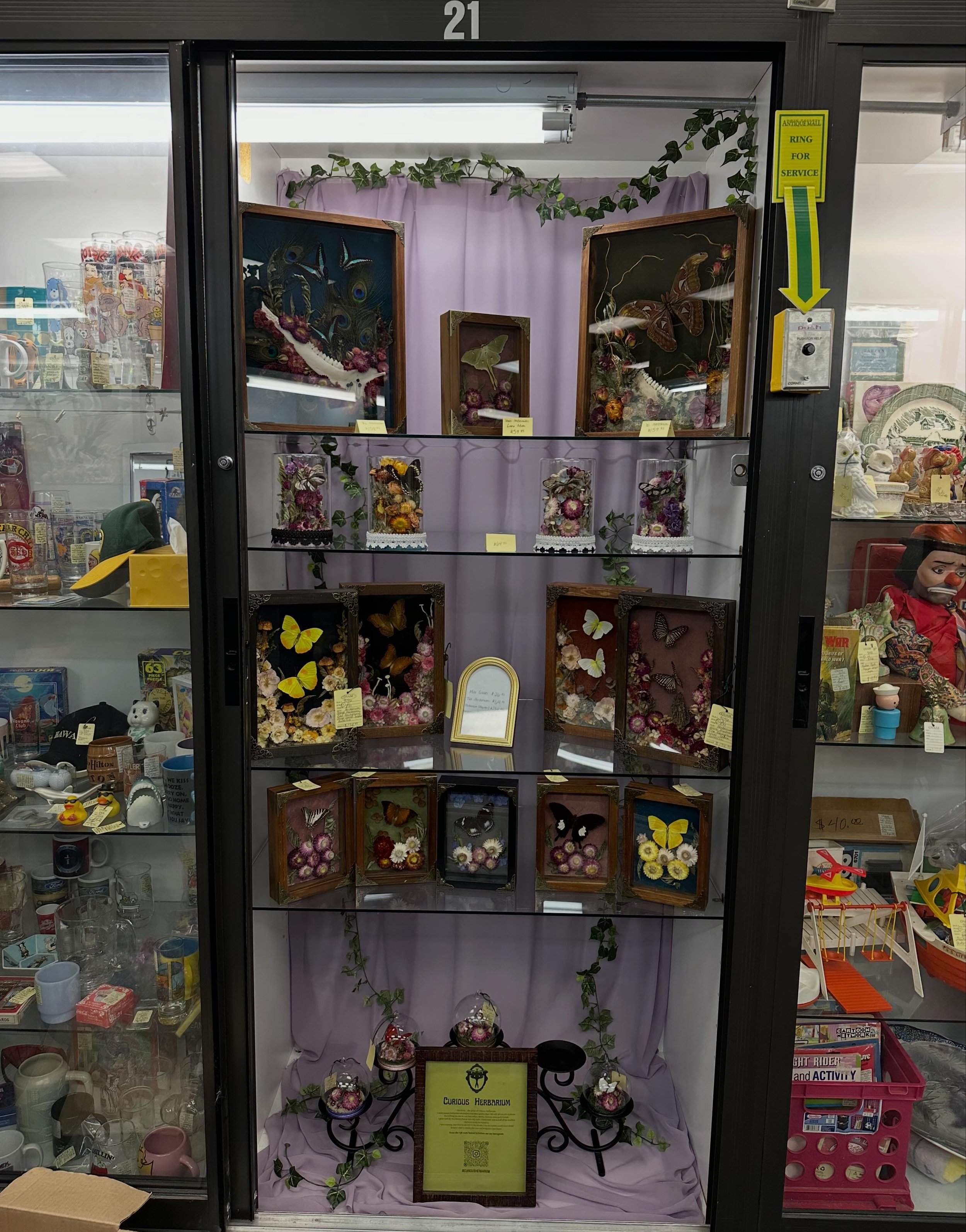 Showcase 21 @ Ohio Valley Antique Mall