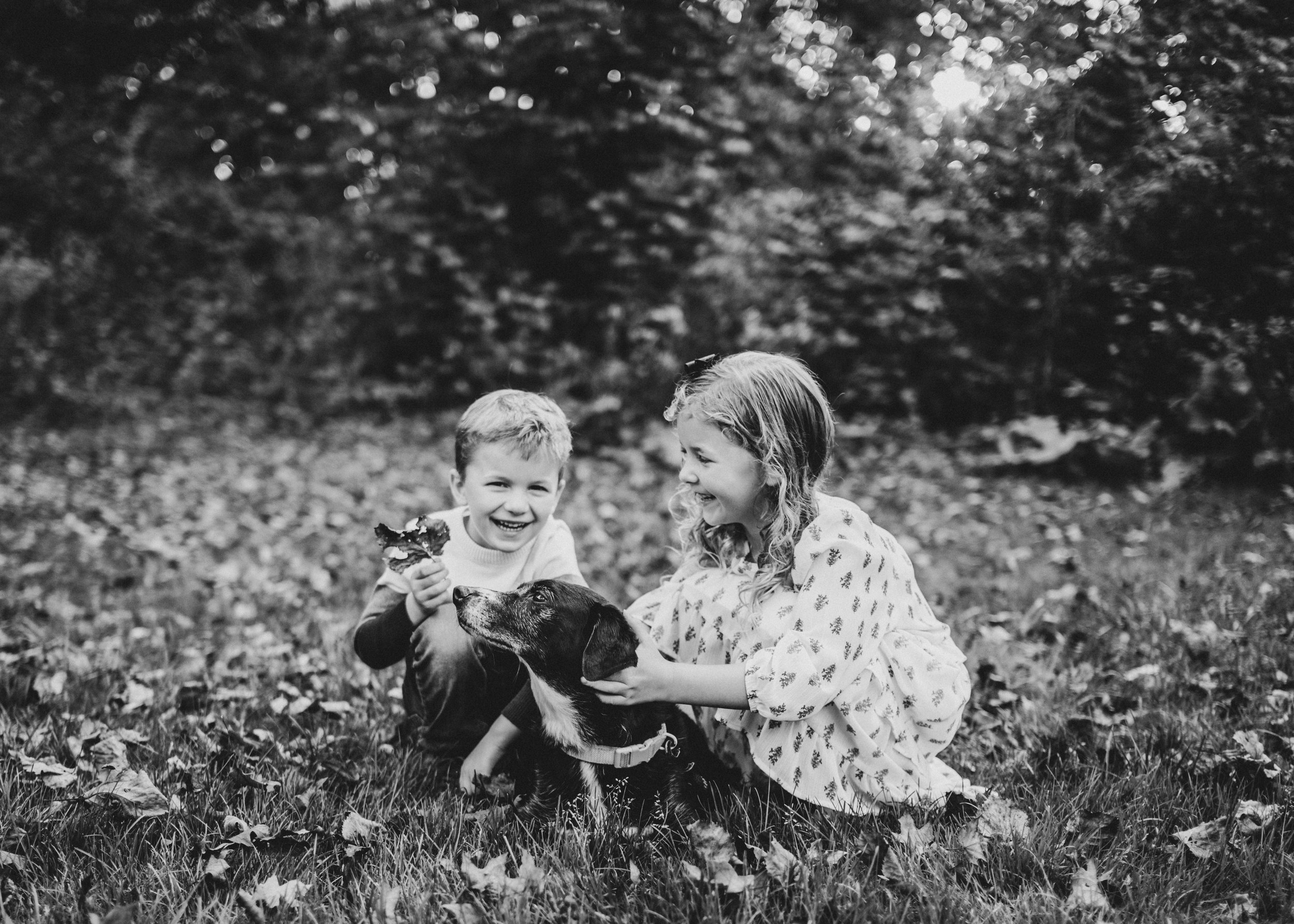 ADH Creative Solutions Top Family Photographer 2025.5.jpg