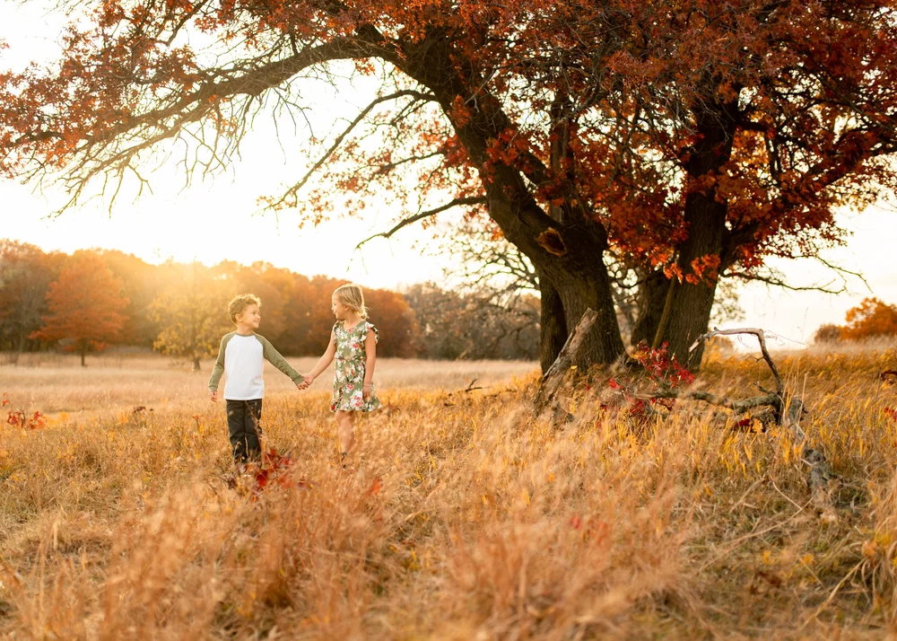 Andover_MN_Photographer_ADH Creative Solutions 12.jpg