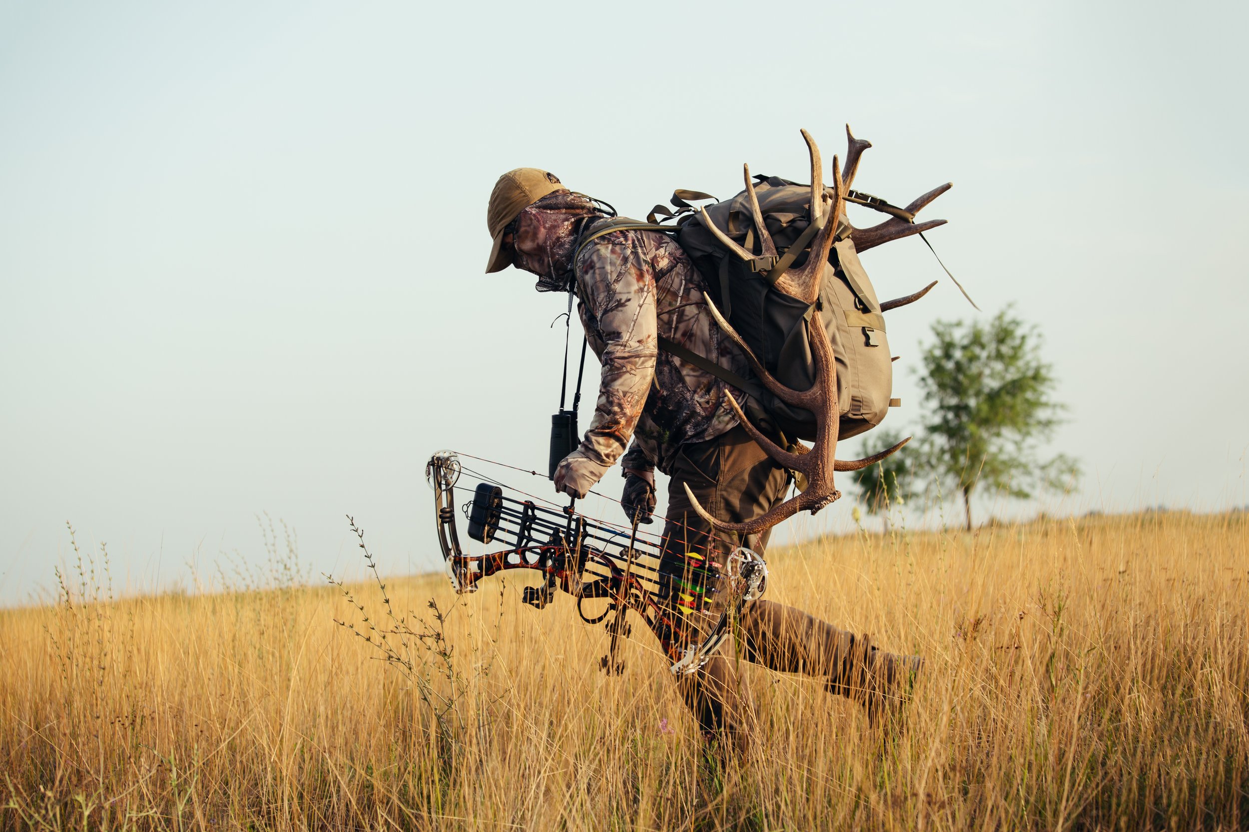 The Power of Smell in North America’s Big Game