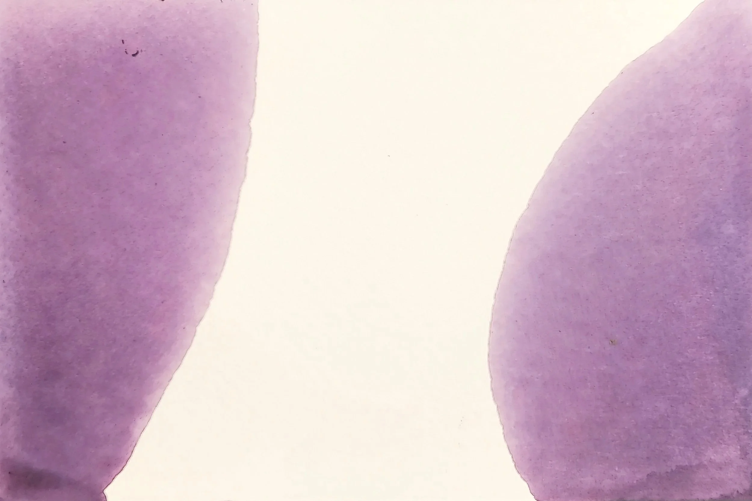 Violet Fields