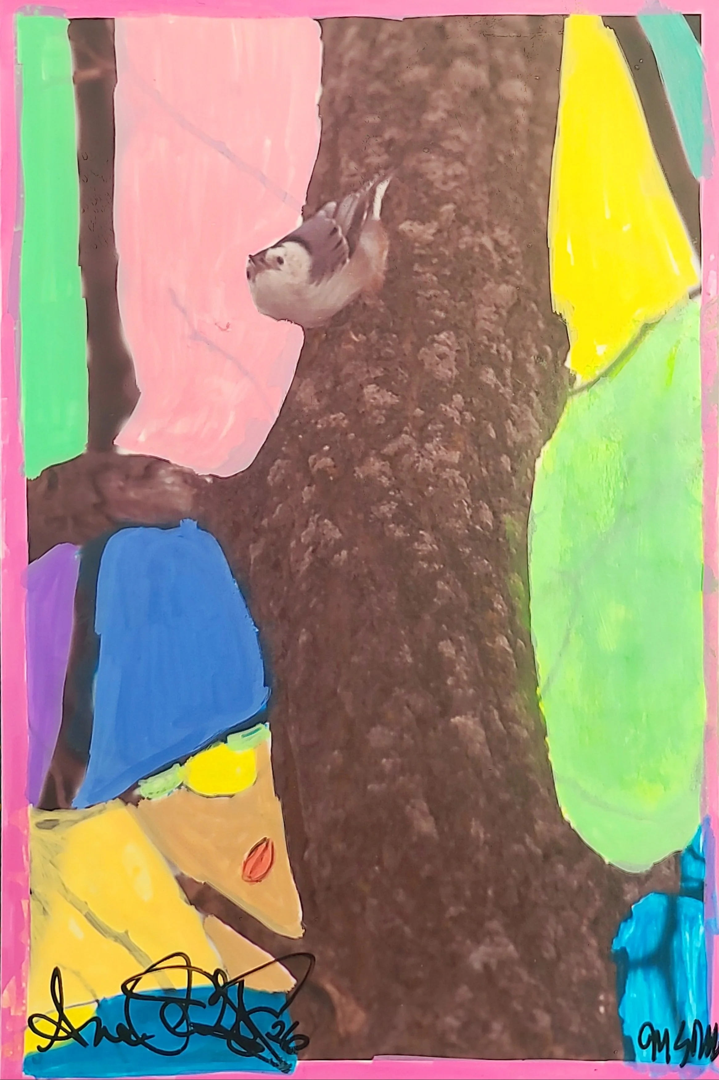 Variations on a Nuthatch #2