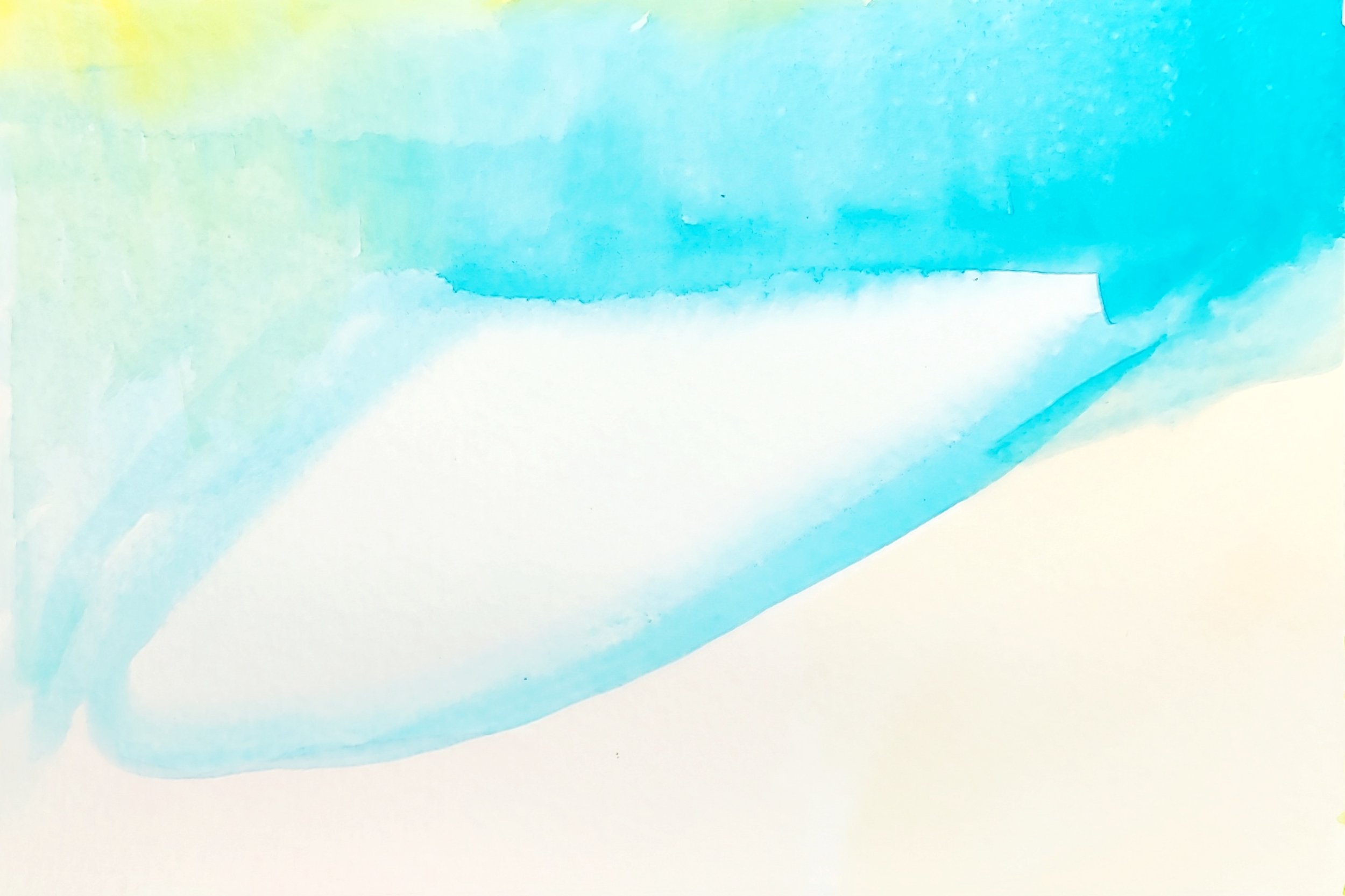 Whale Fin