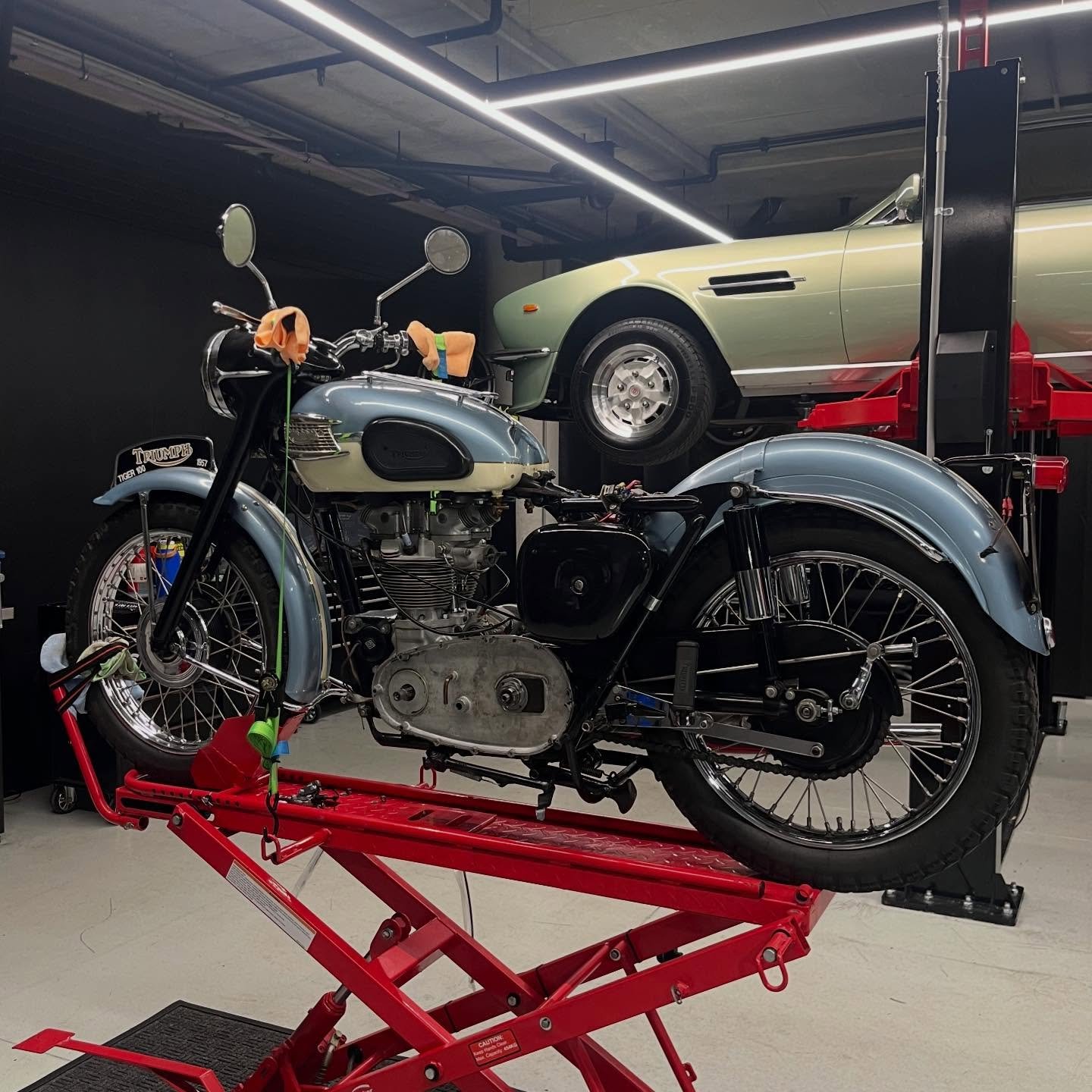 Bringing this lovely 57 T100 upto scratch for the new year.

#triumph #triumphmotorcycles #triumphofficial #triumphsydney #triumphaustralia