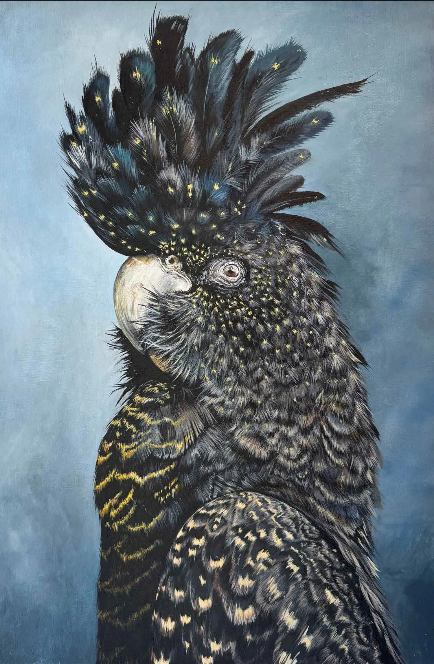 Black Cockatoo - Ally Proudlock