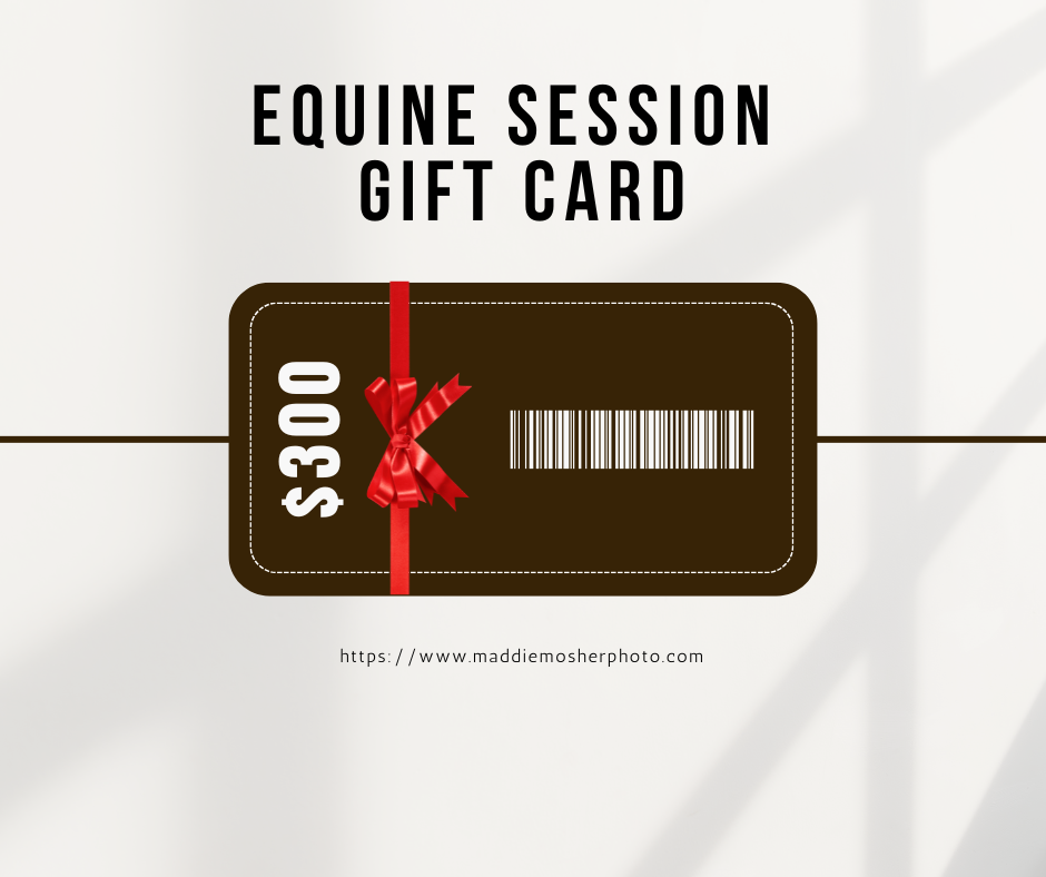 Equine Session Gift Card