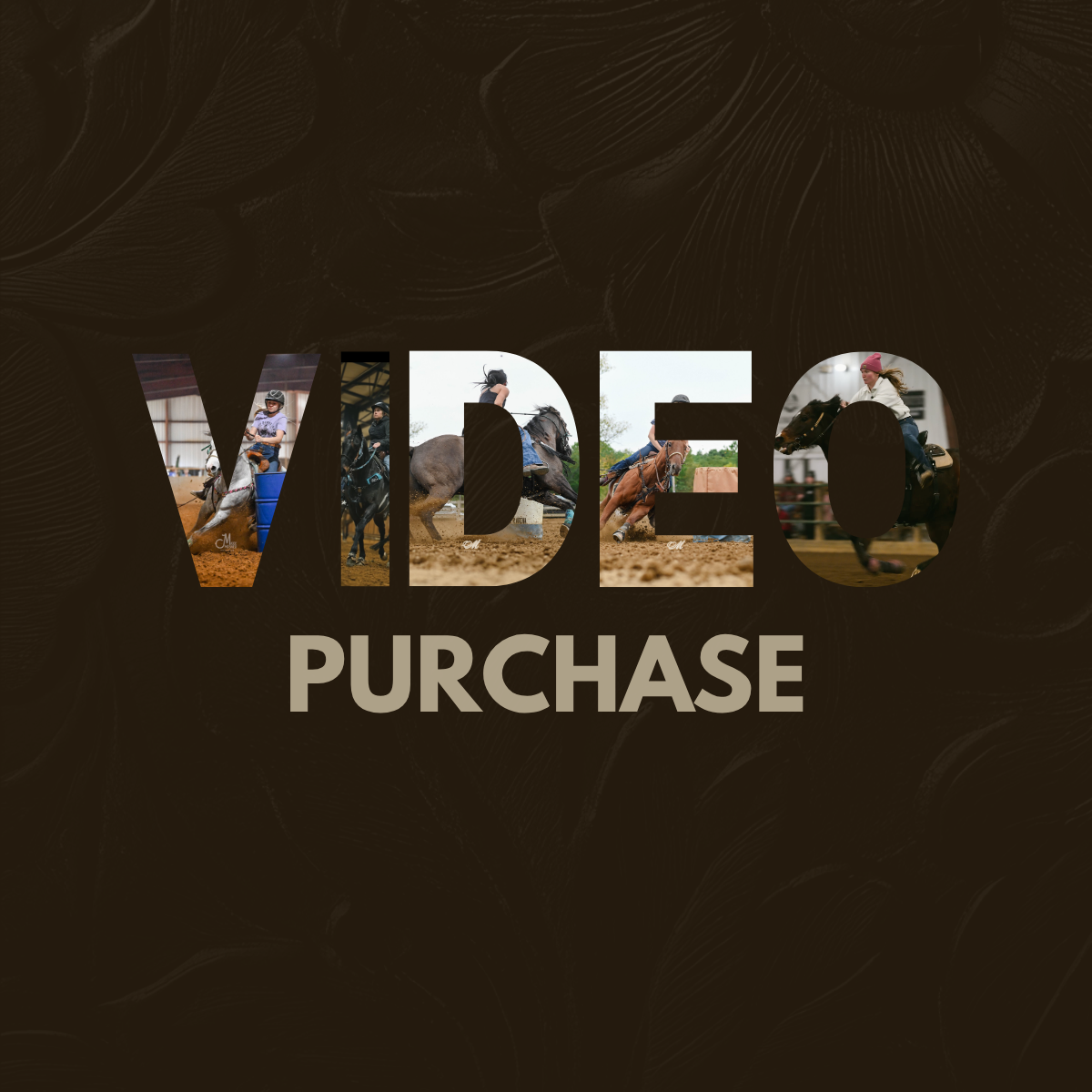 graphic (1).png