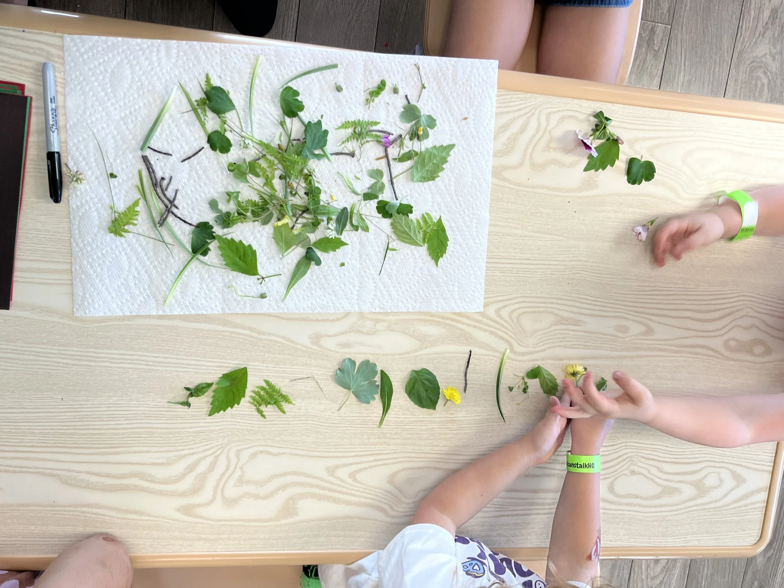 Children are sorting and arranging various leaves, flowers, and plant parts on a table covered with a paper towel in a classroom or activity setting.