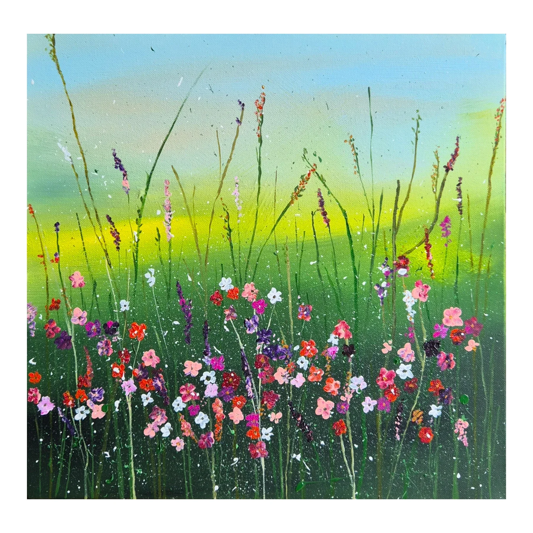 Blooms