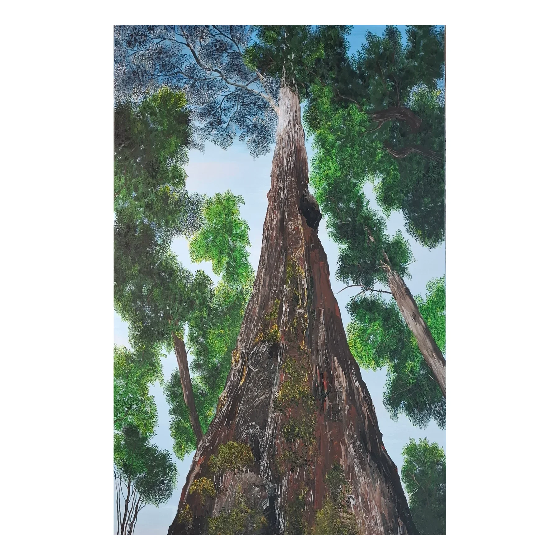 Towering Trees